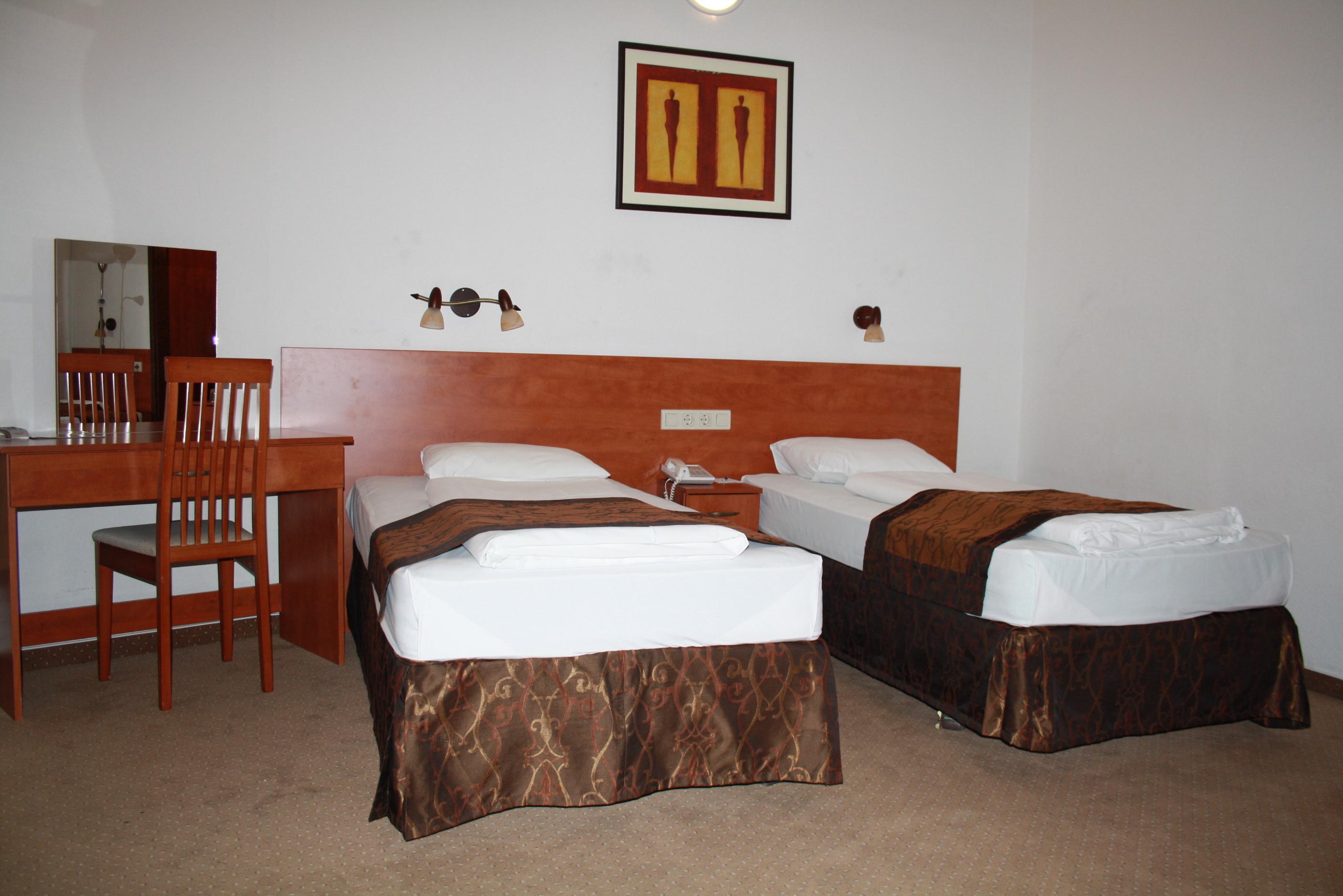 Double or Twin Standard