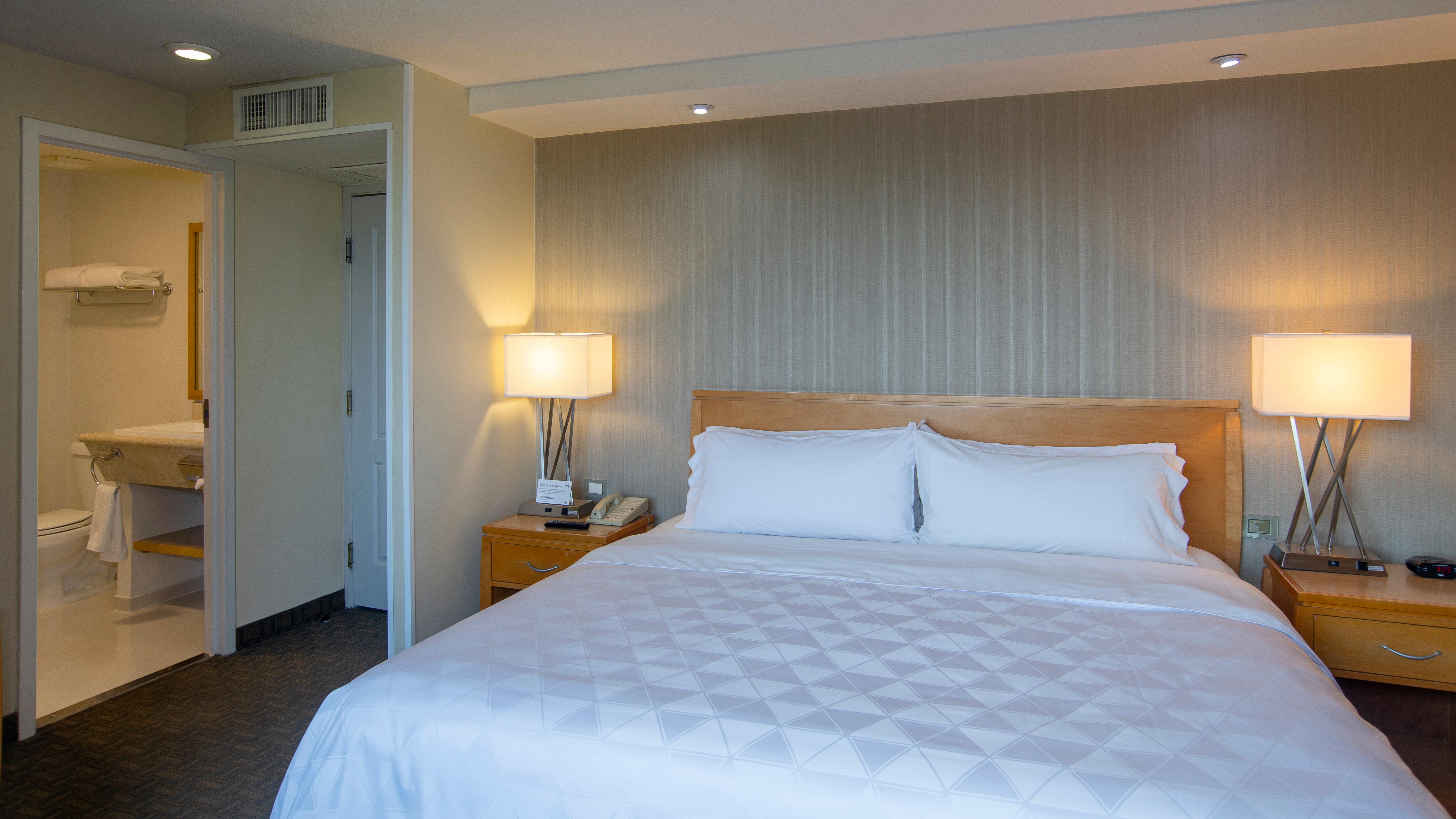 Suite King Bed Non Smoking