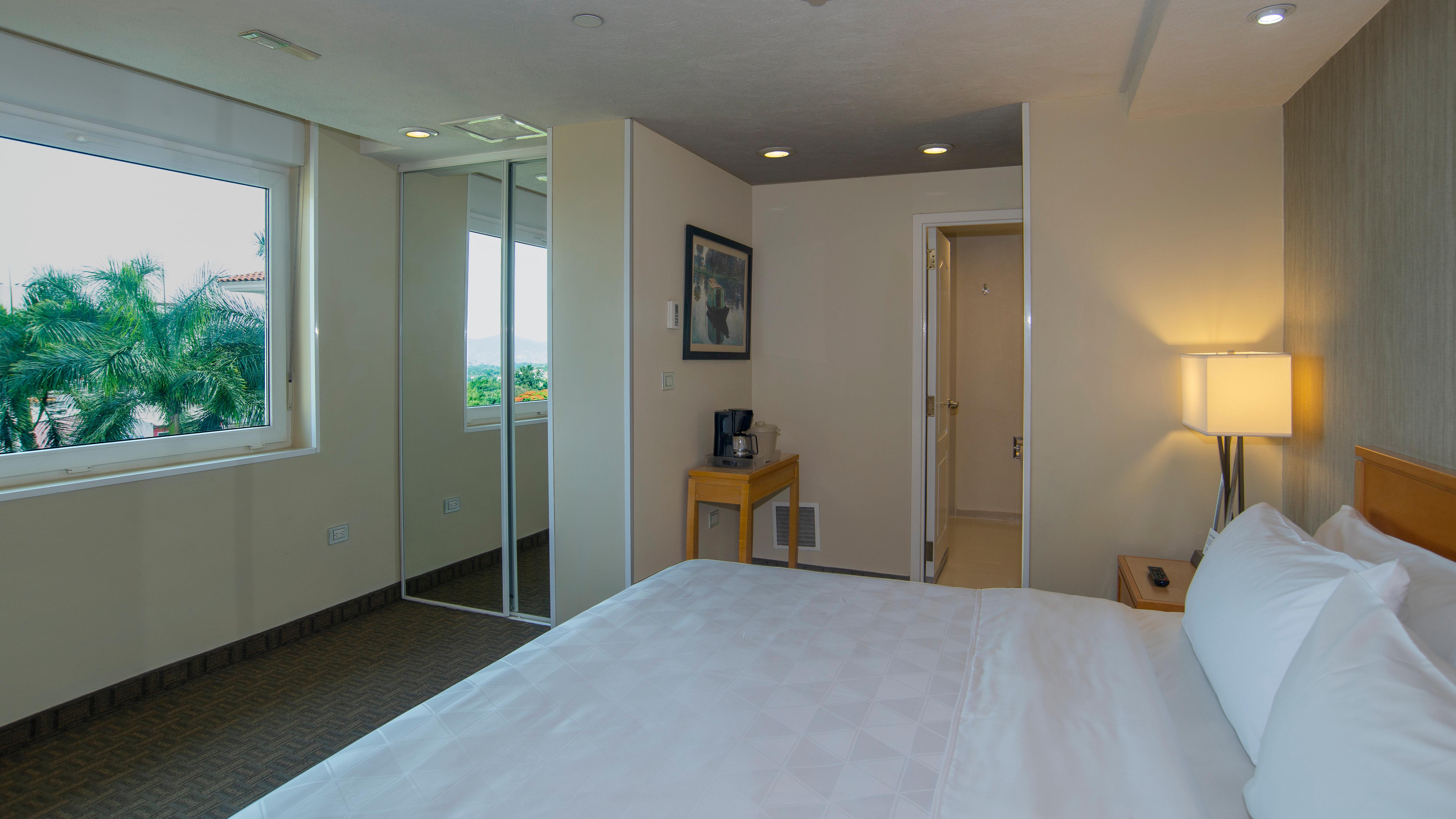 Suite King Bed Non Smoking