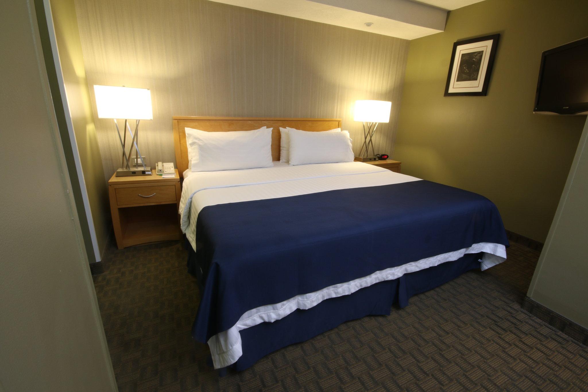 Suite King Bed Non Smoking