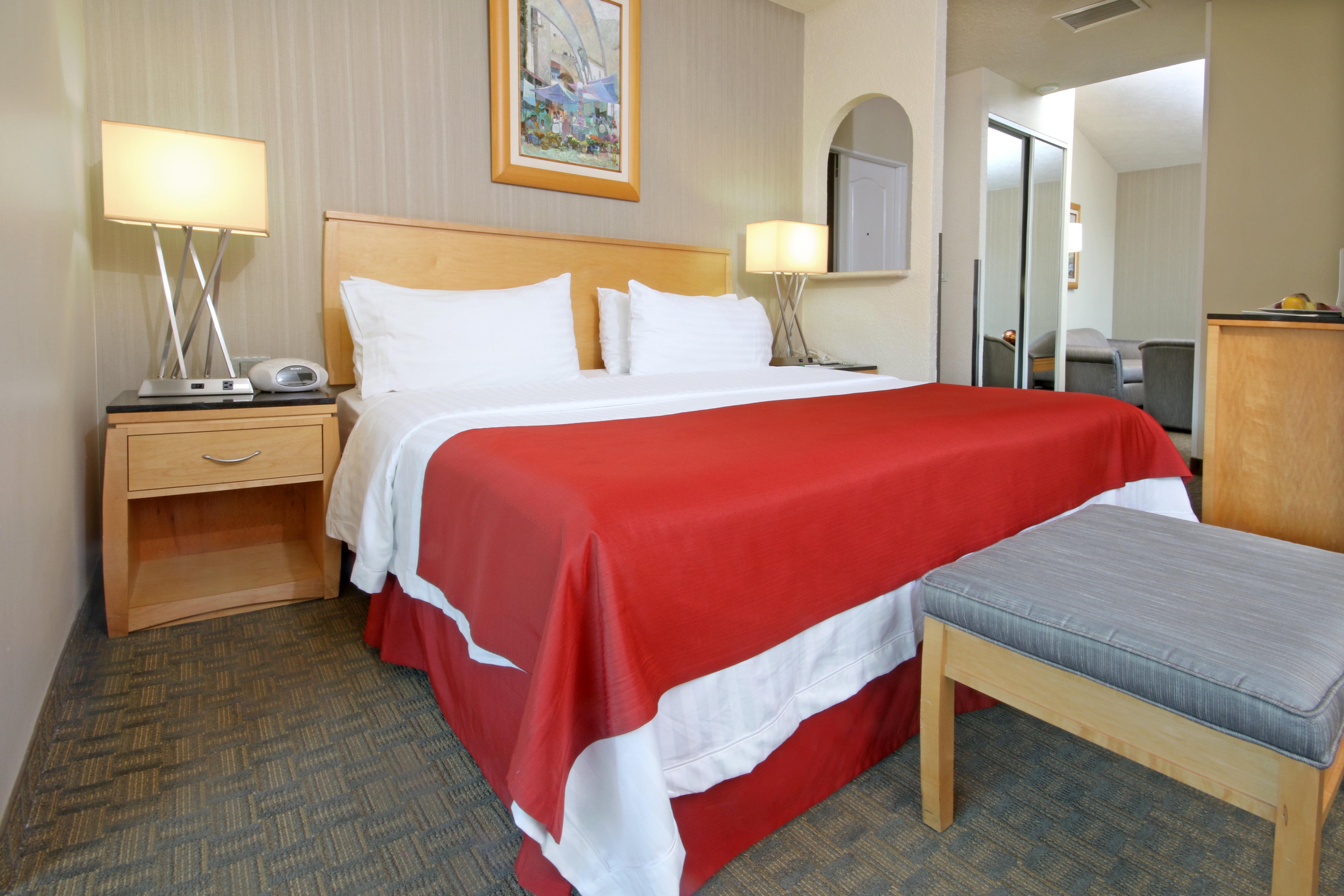 Suite King Bed Non Smoking