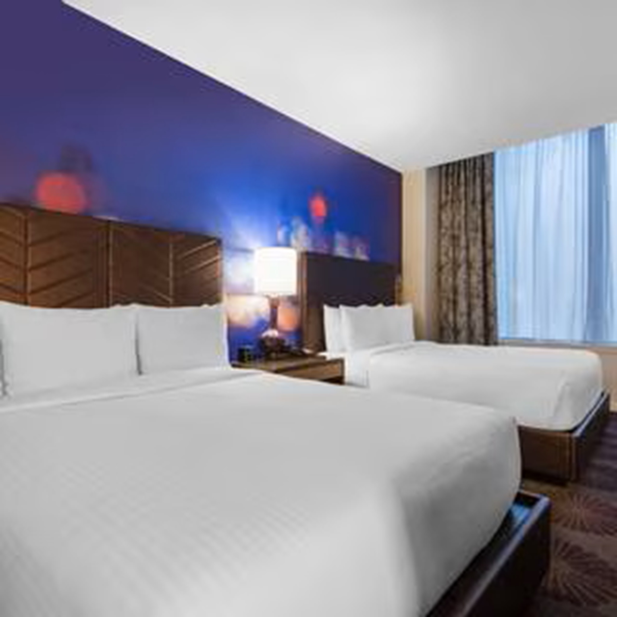 Room Accesible Deluxe 