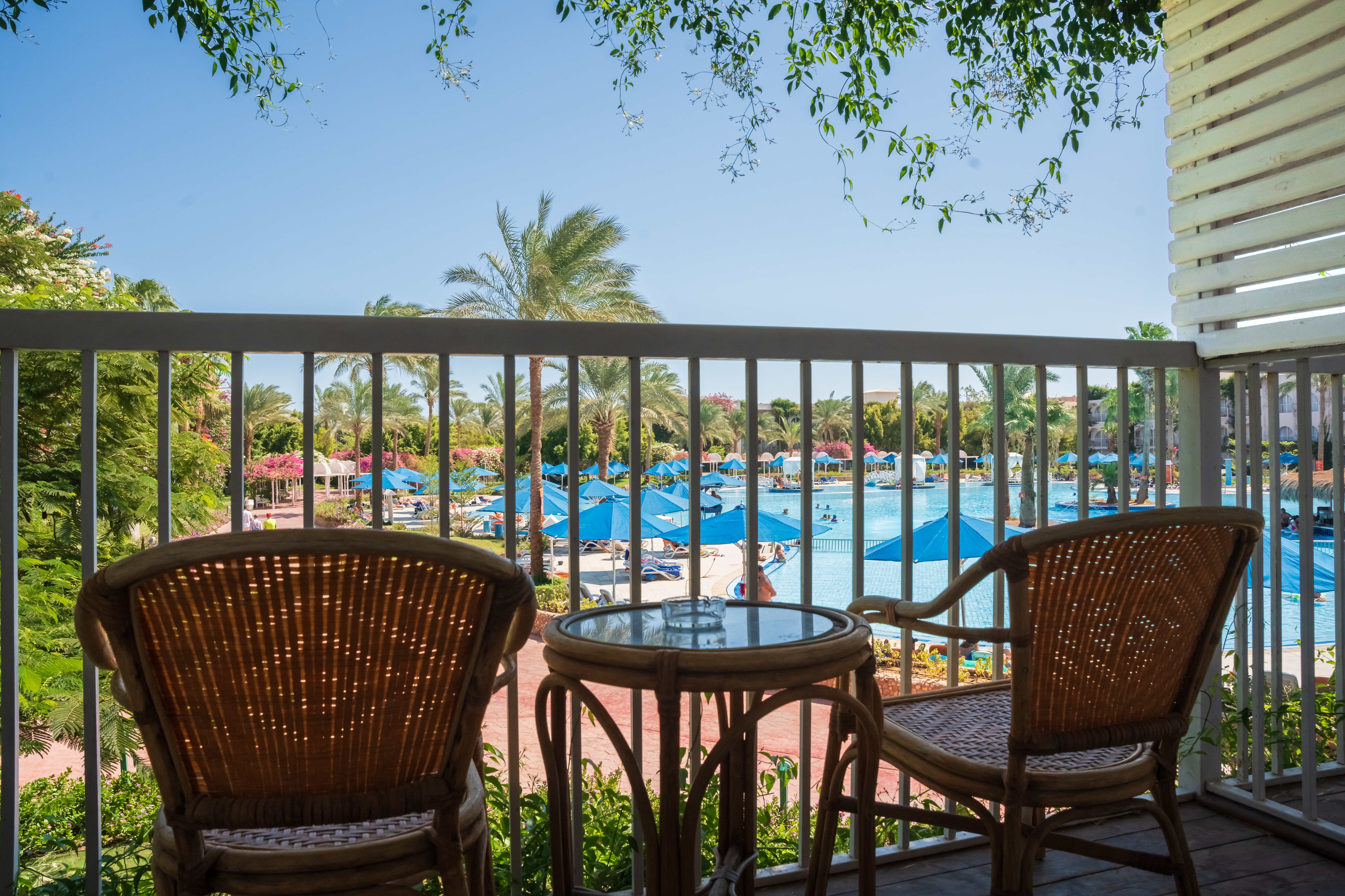 Double Superior Pool View