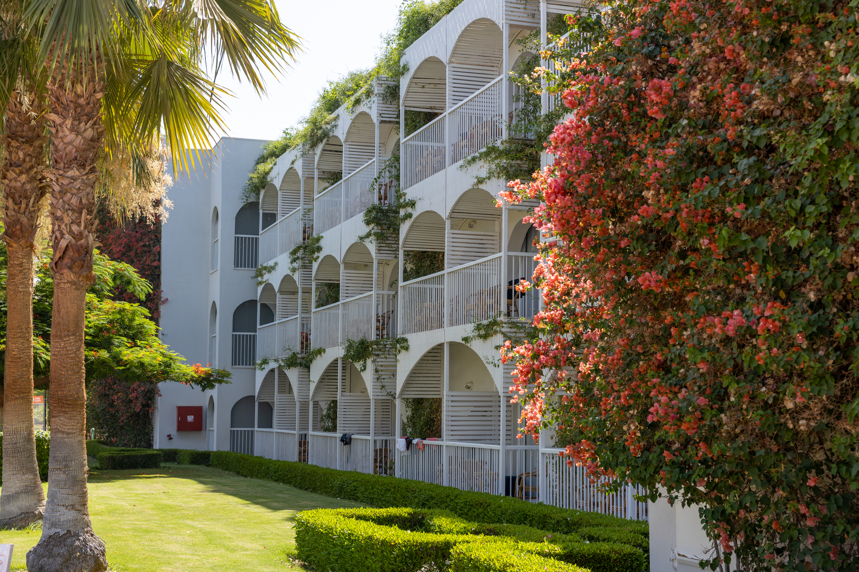 Single Superior Garden View