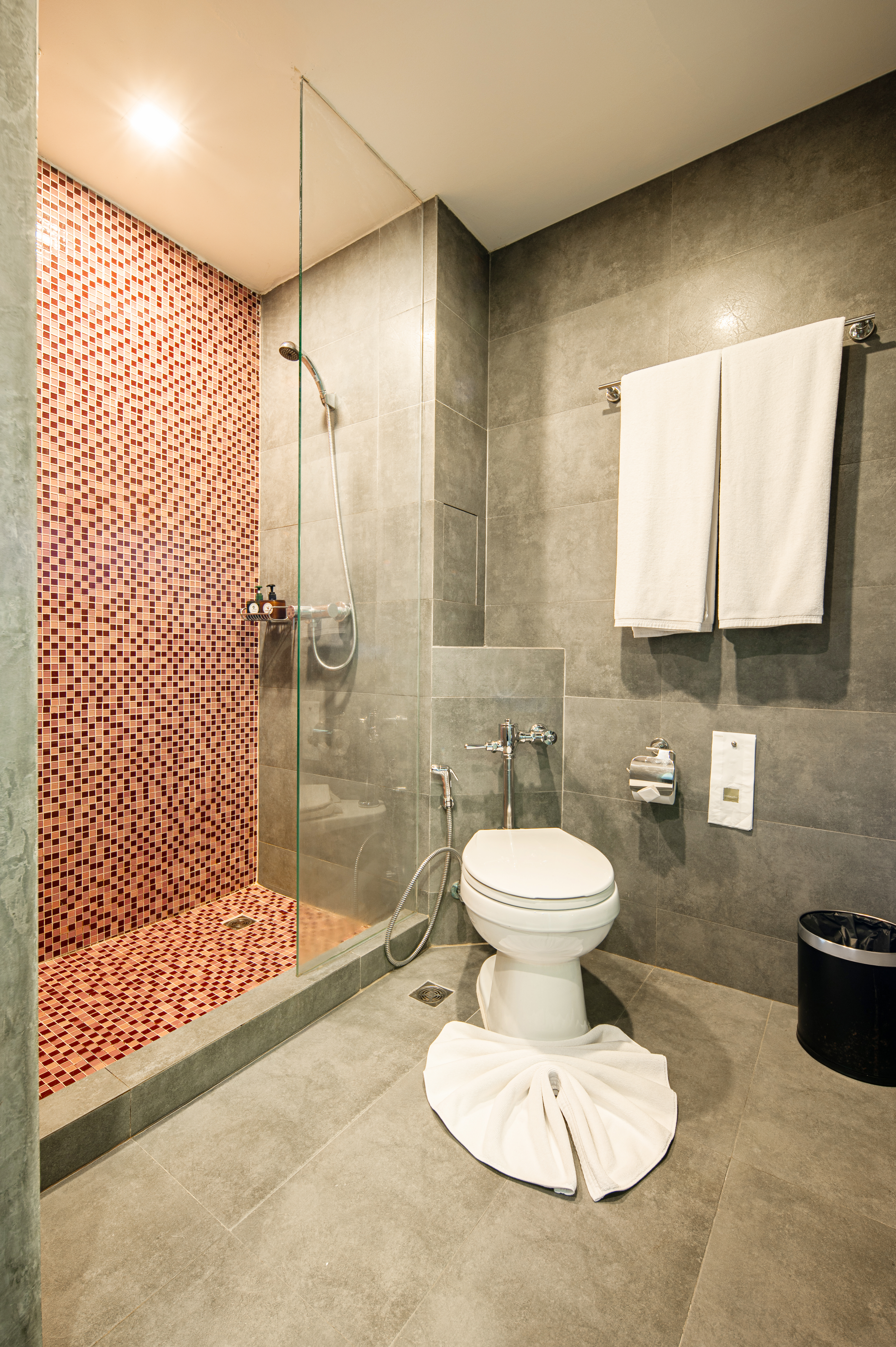 Double or Twin Standard