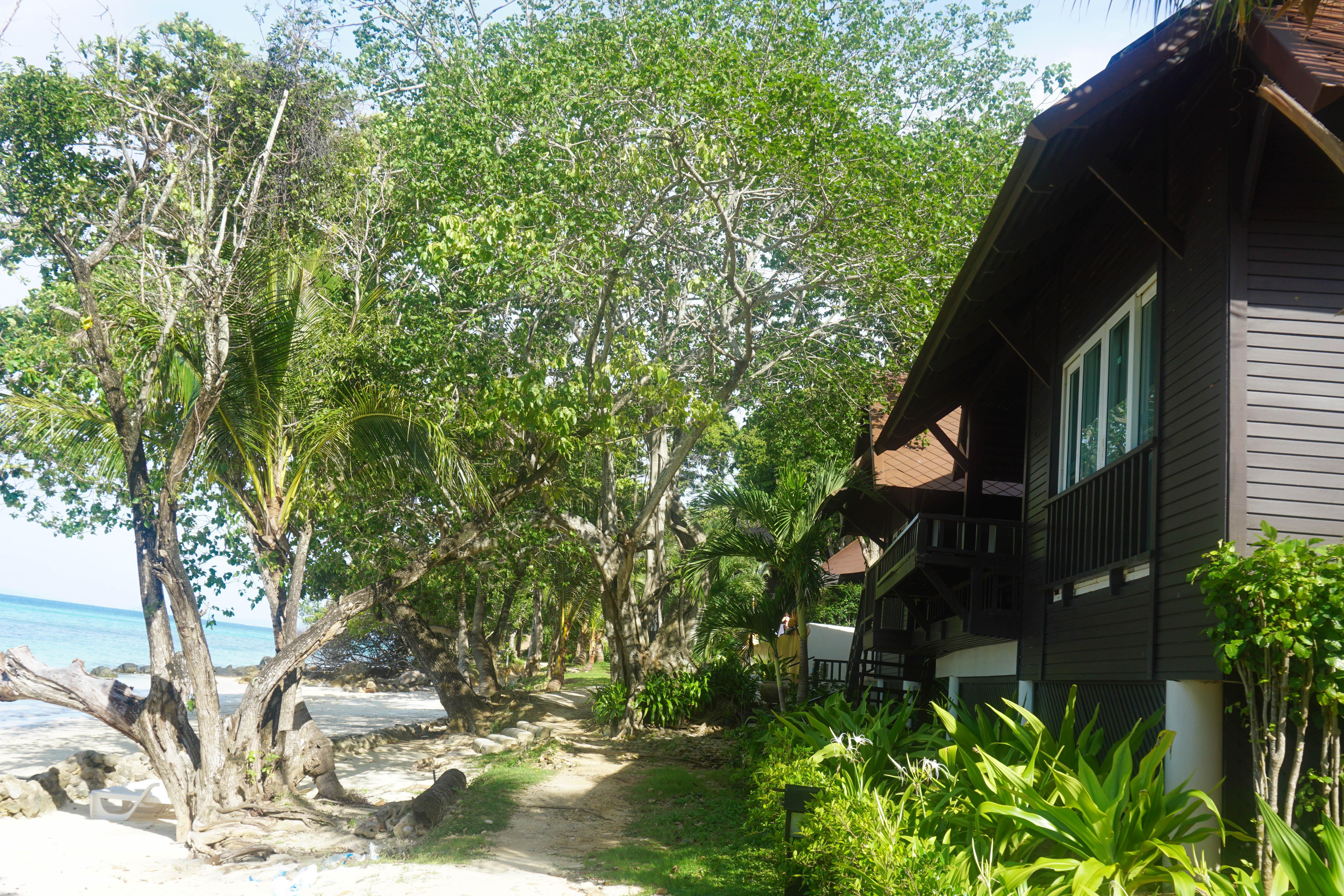 Suite Beach Front Two Bedrooms