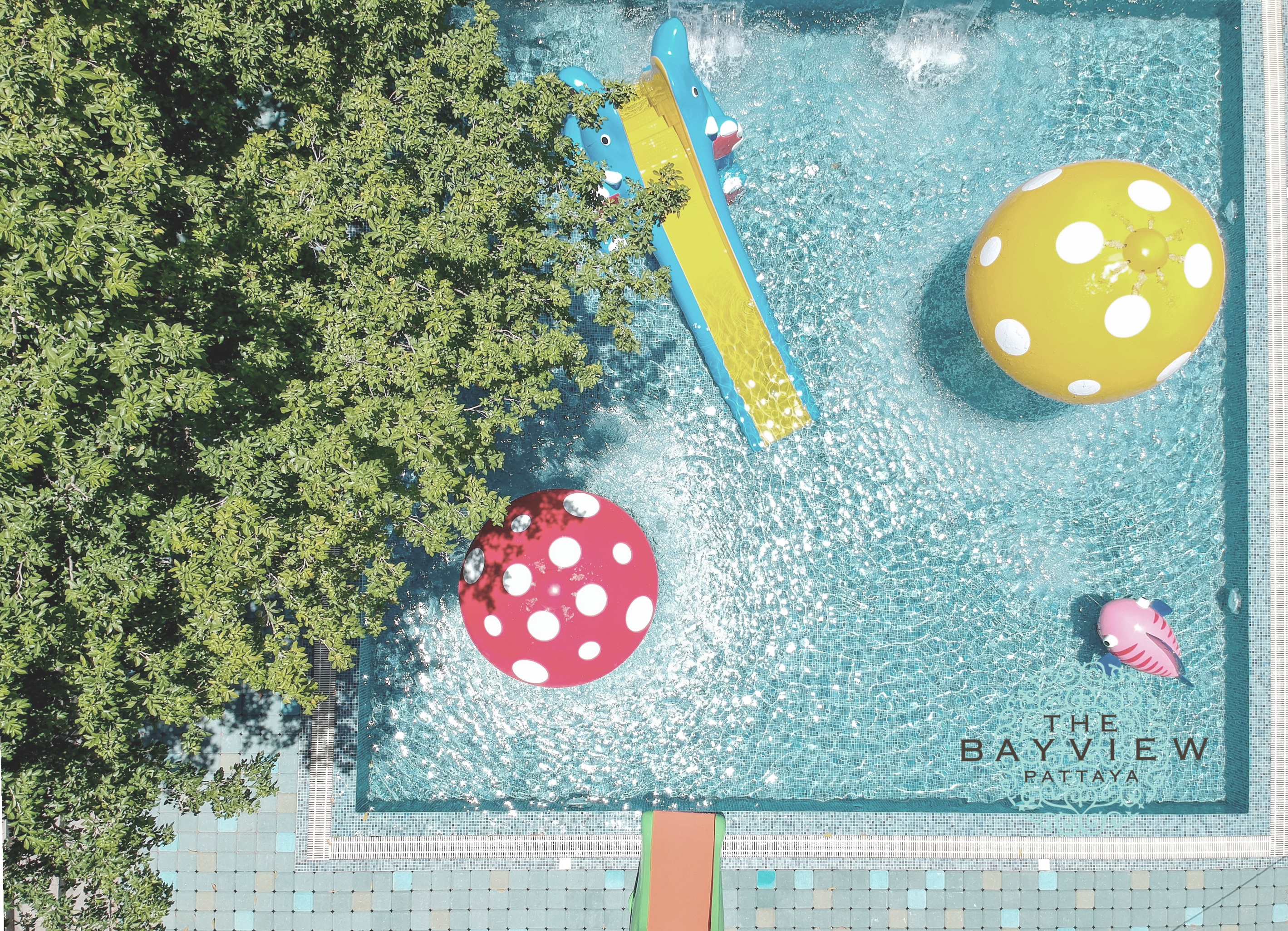 Single Deluxe Pool View