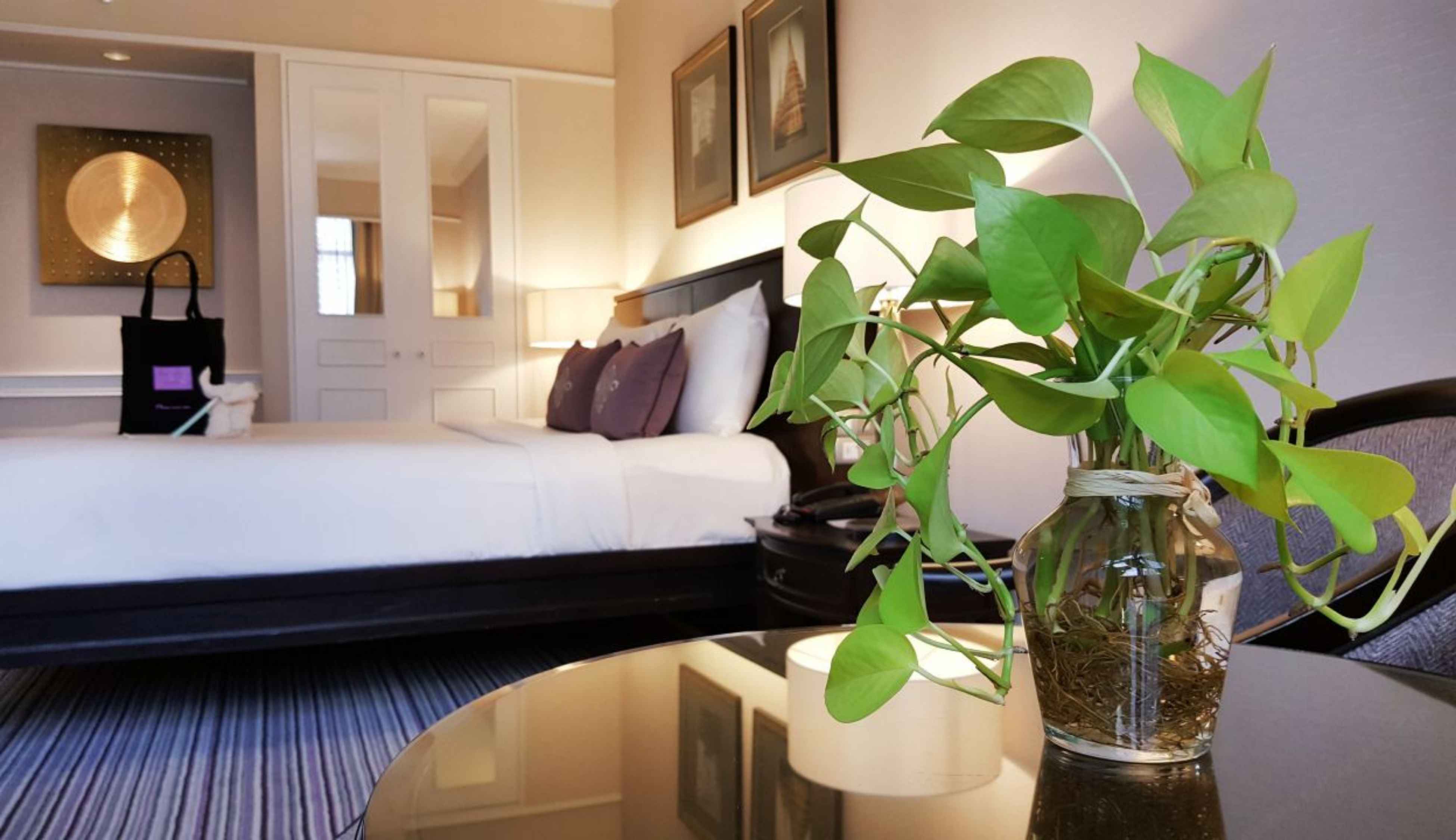 Double Premier King Bed