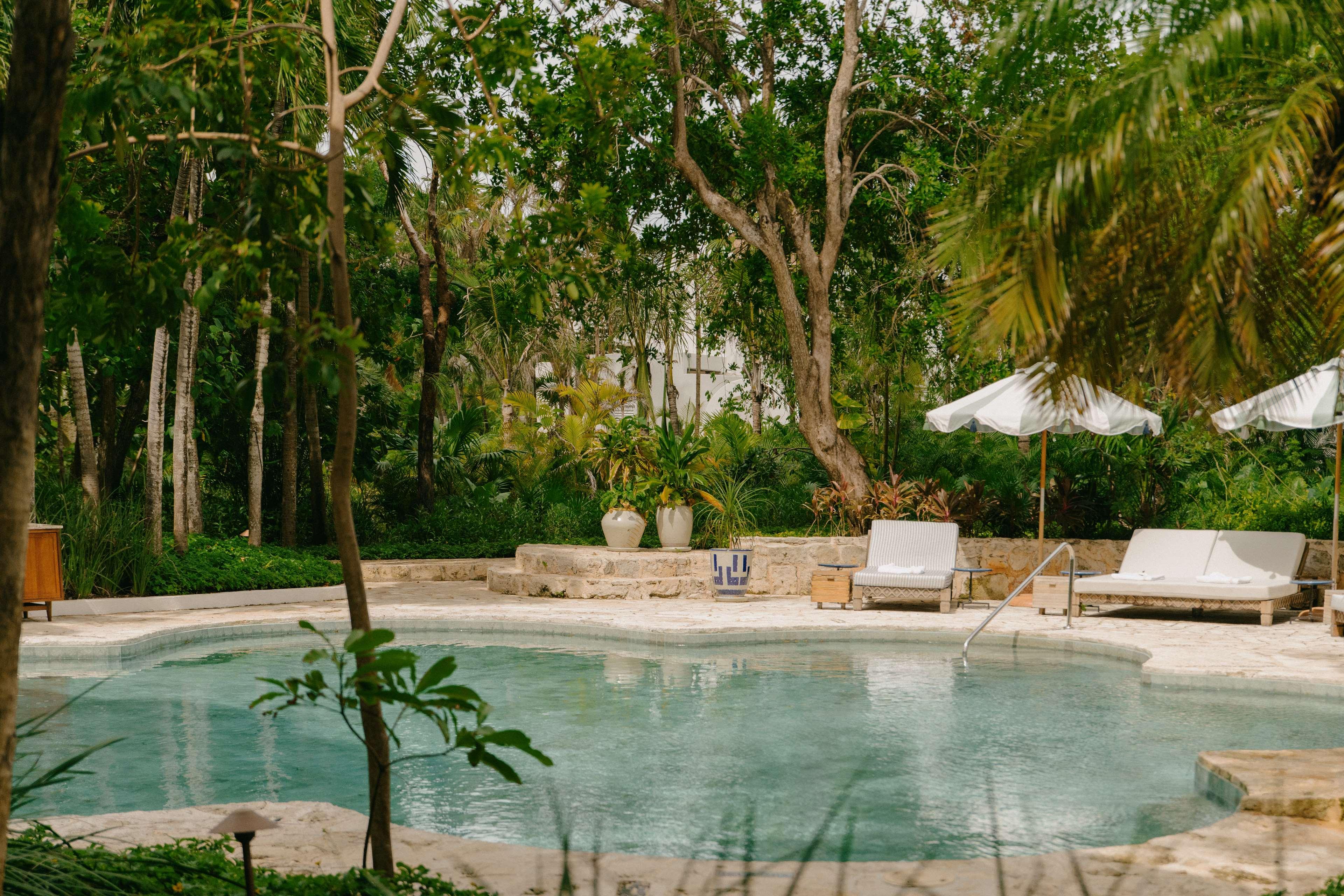 Room Deluxe Garden View