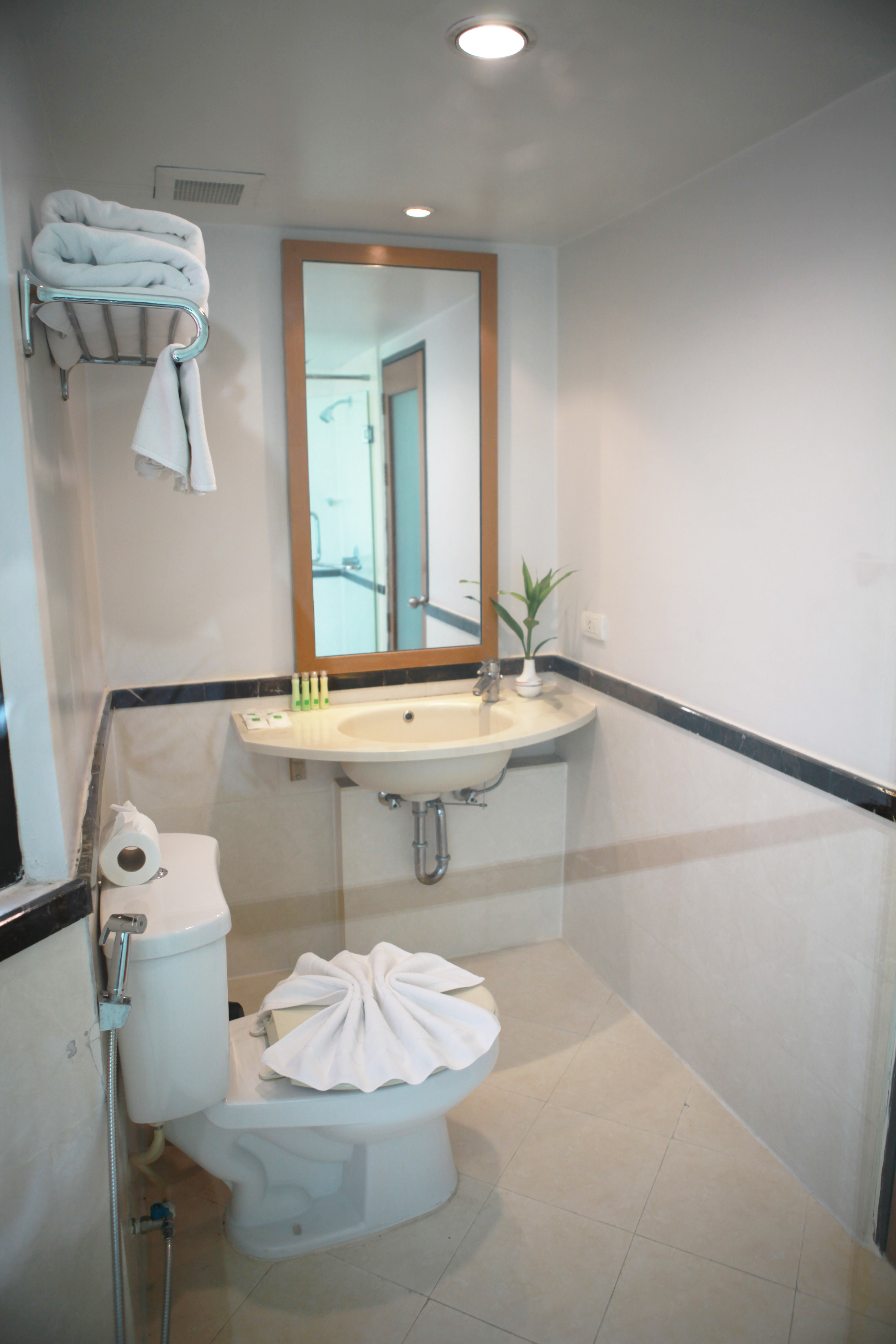 Double or Twin Standard