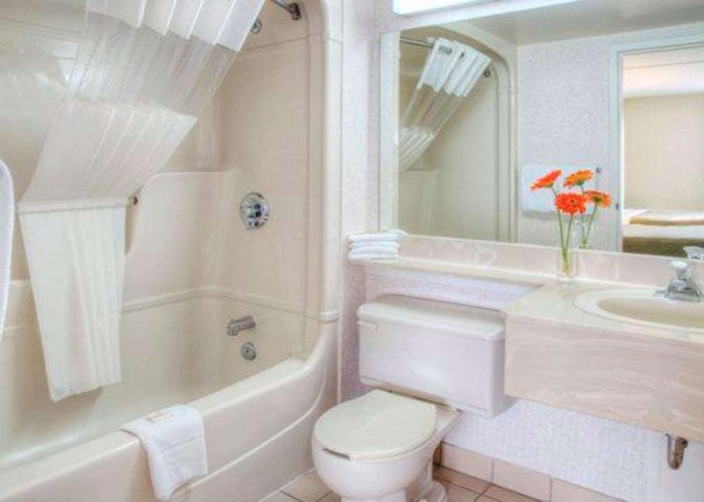 Suite Queen Size Bed