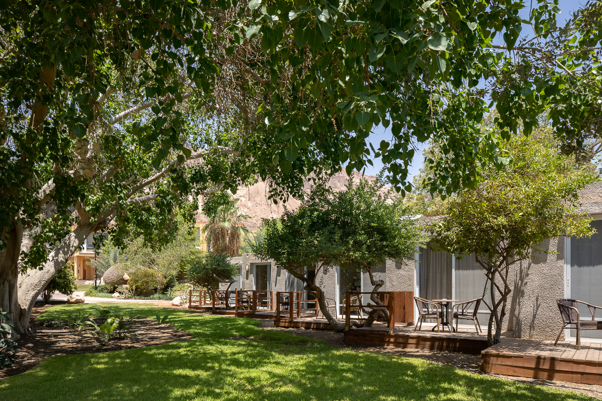 Twin Superior Garden View