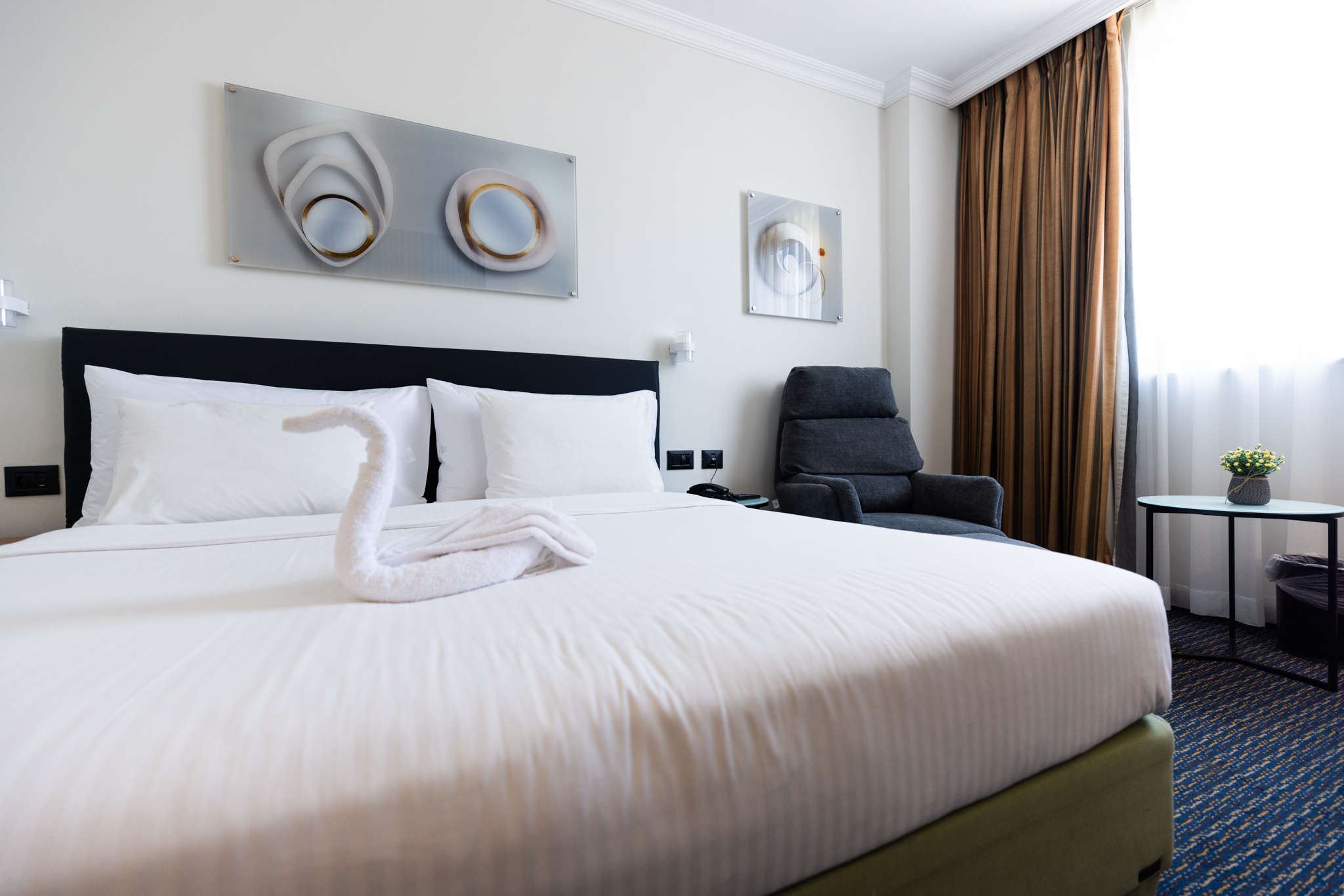 Double or Twin Business