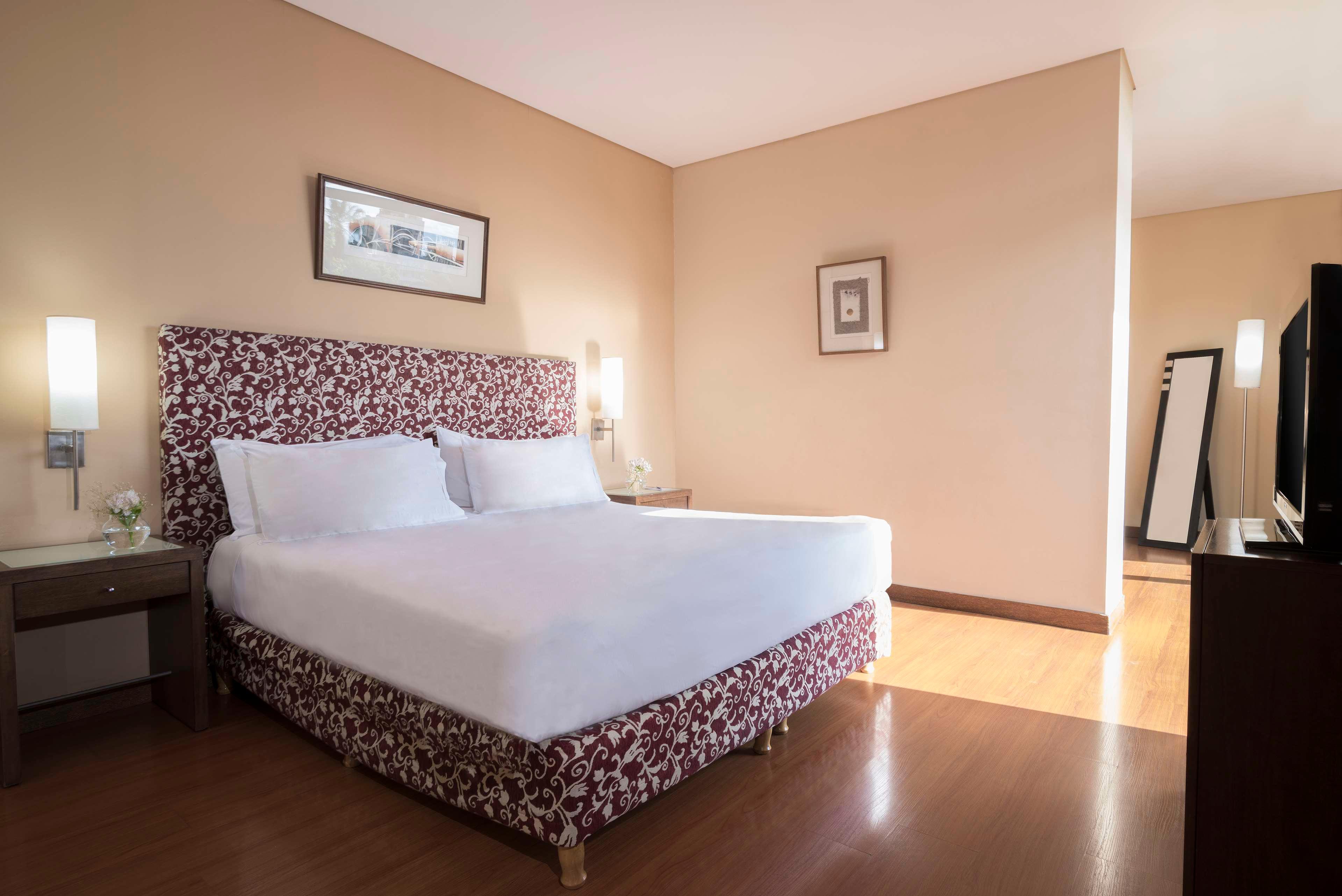 Junior Suite with Terrace