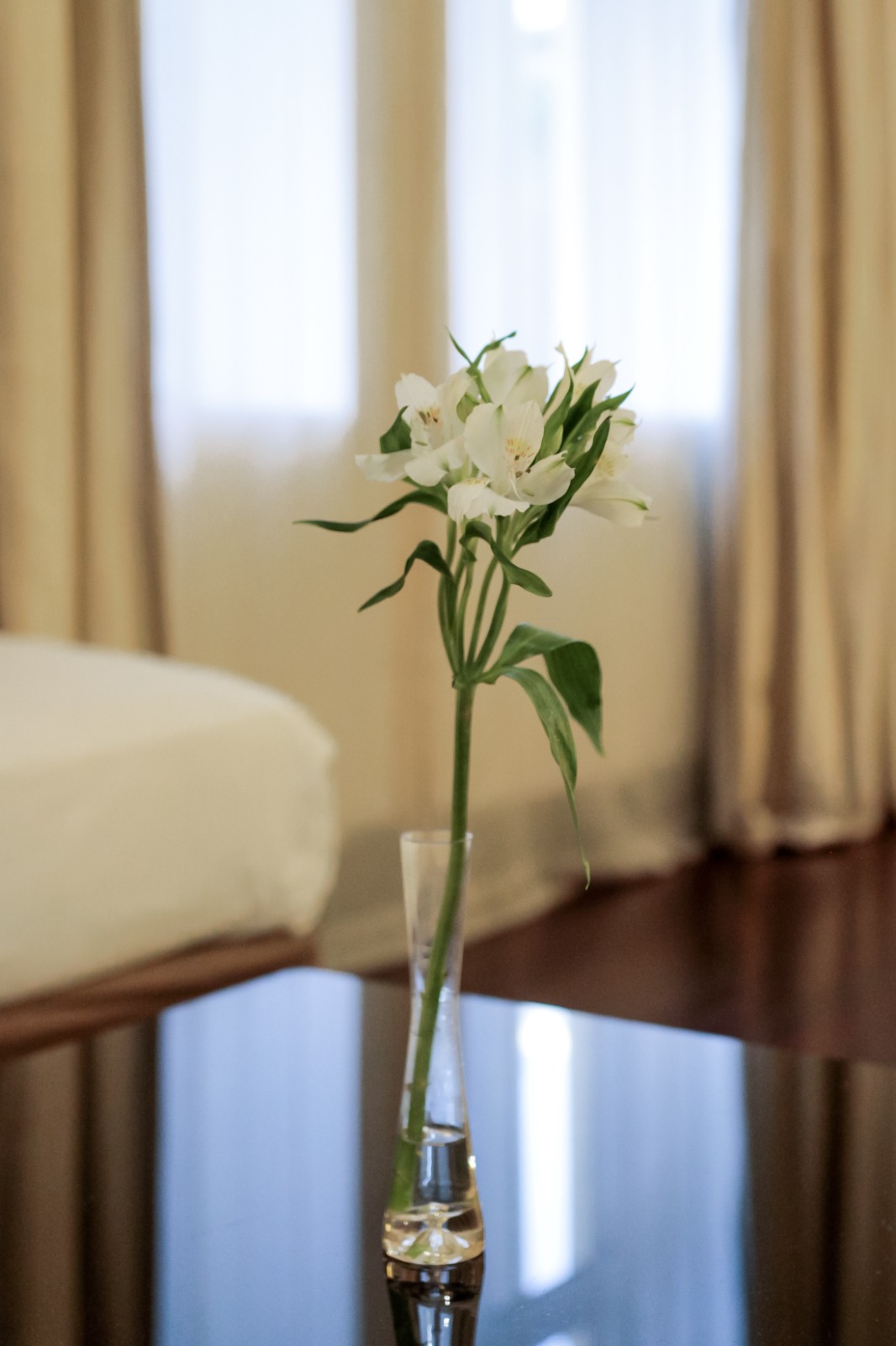 Junior Suite Capacity 3