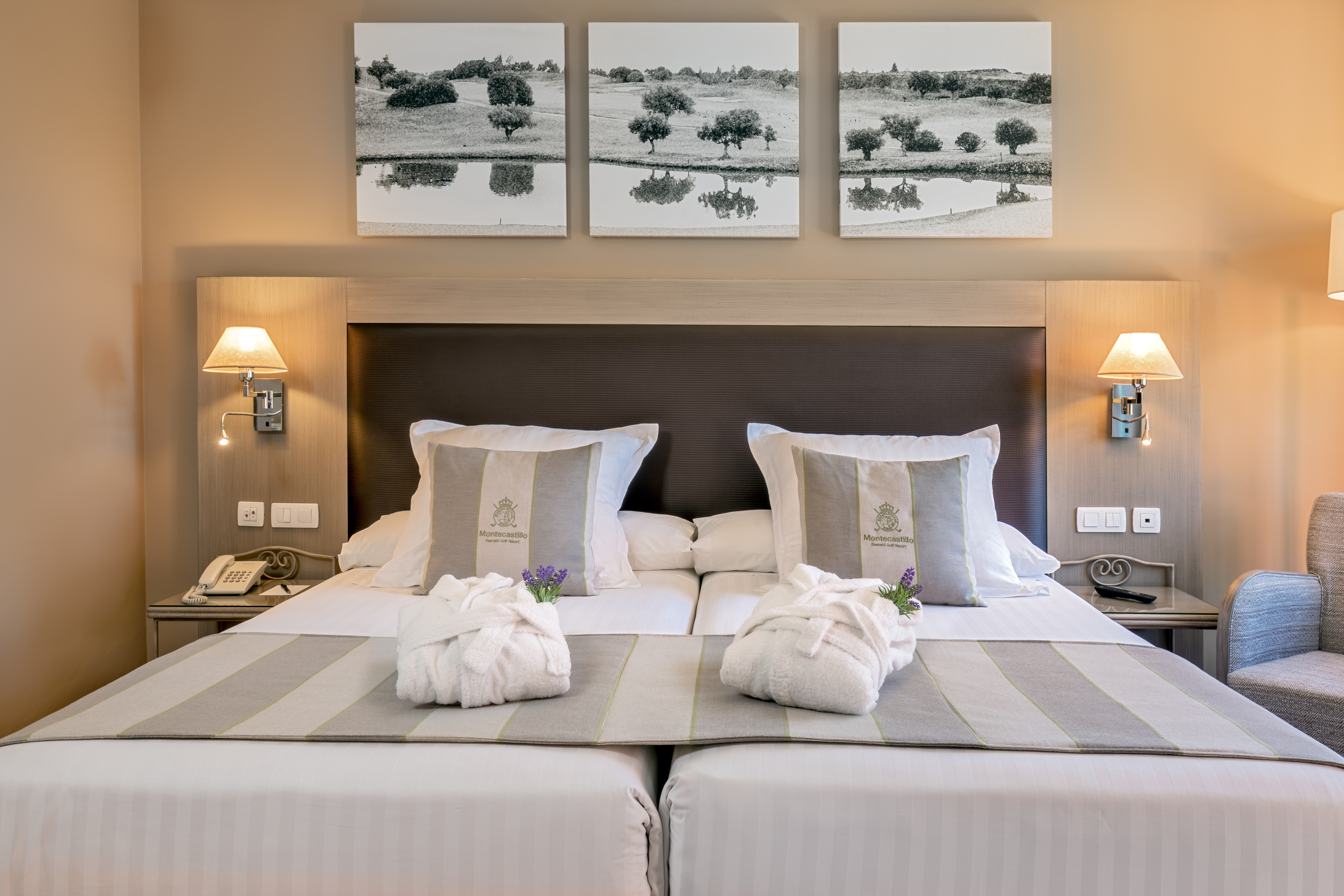 Double or Twin Superior