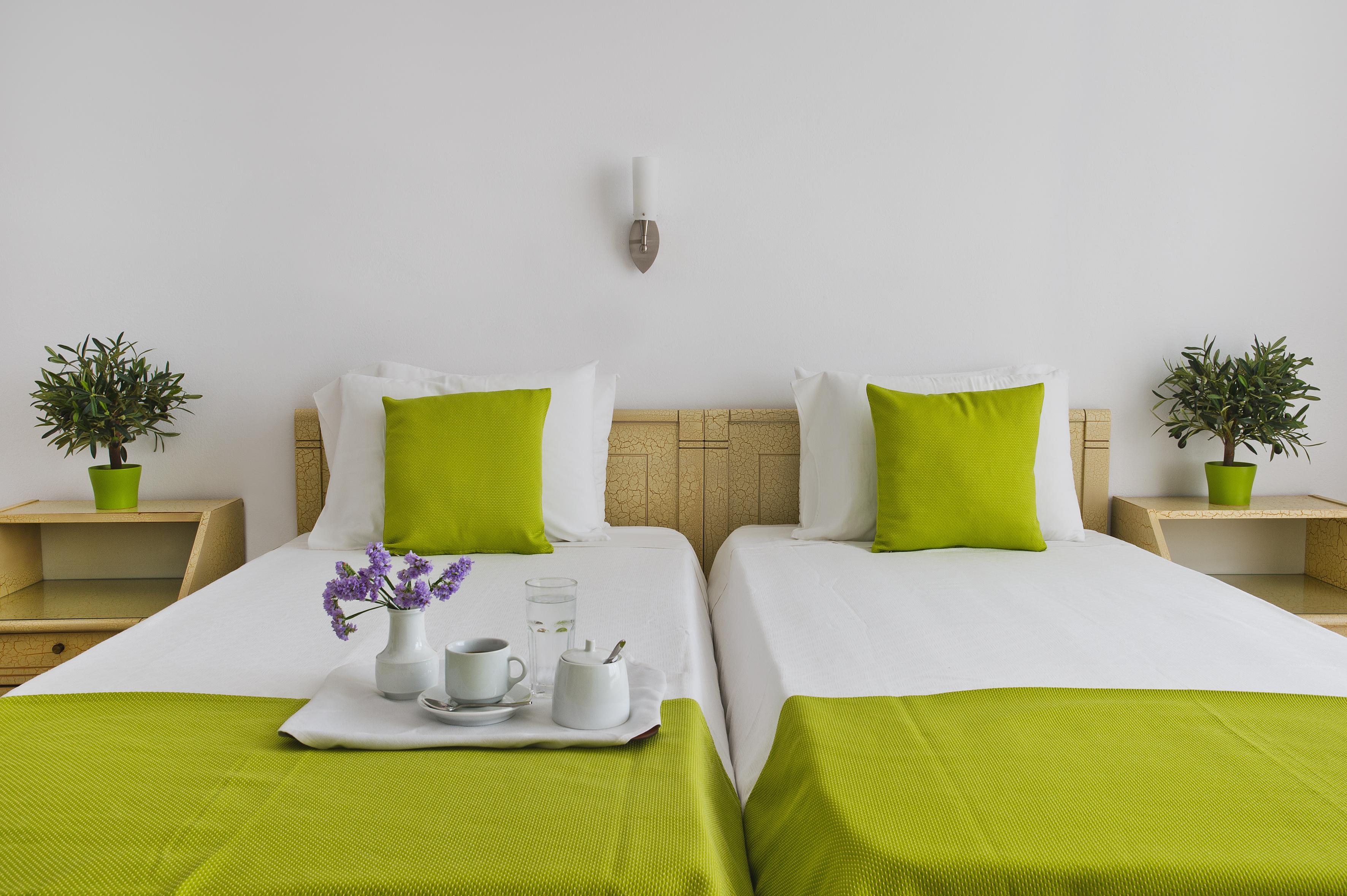 Double or Twin Standard