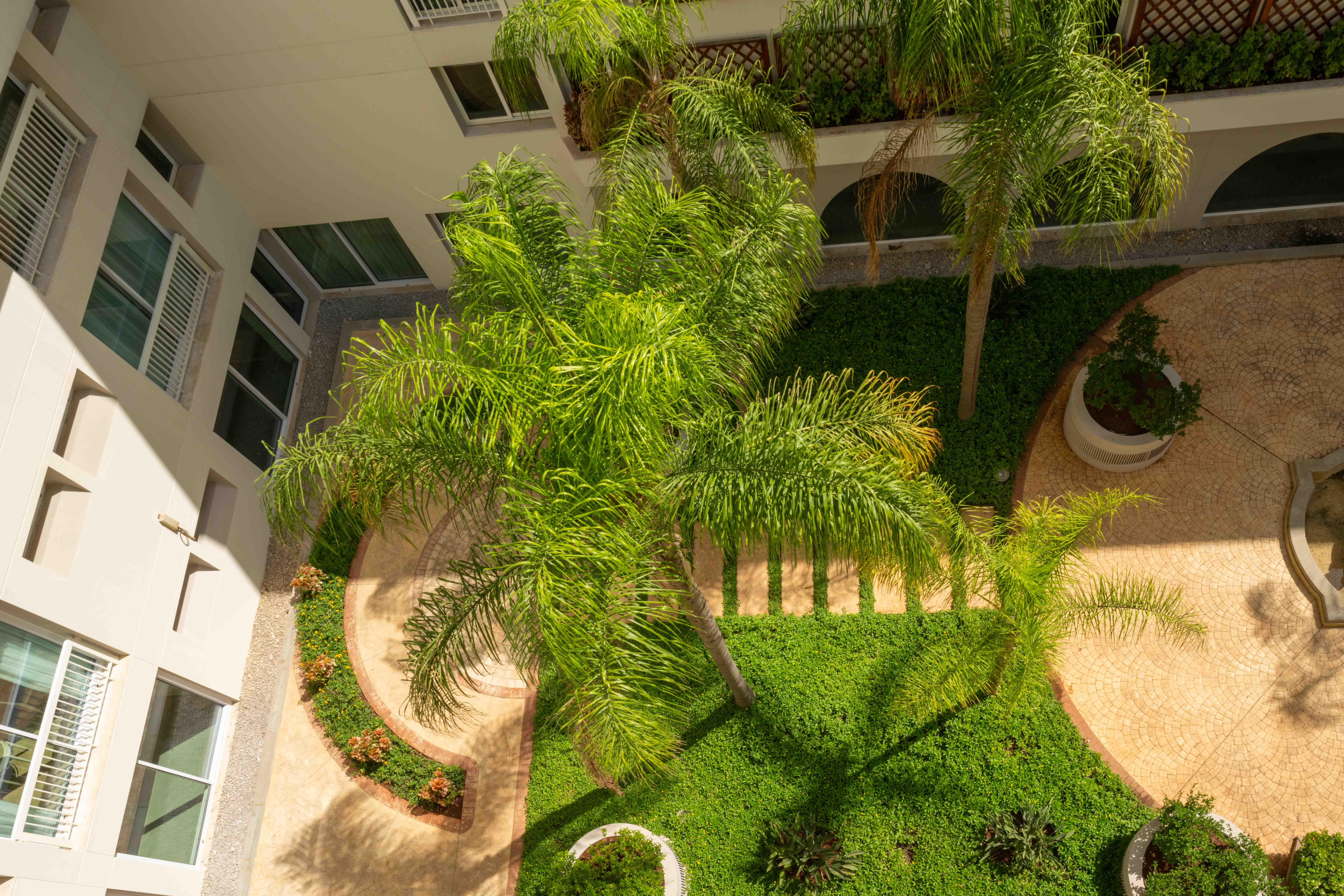 Double Classic King Bed