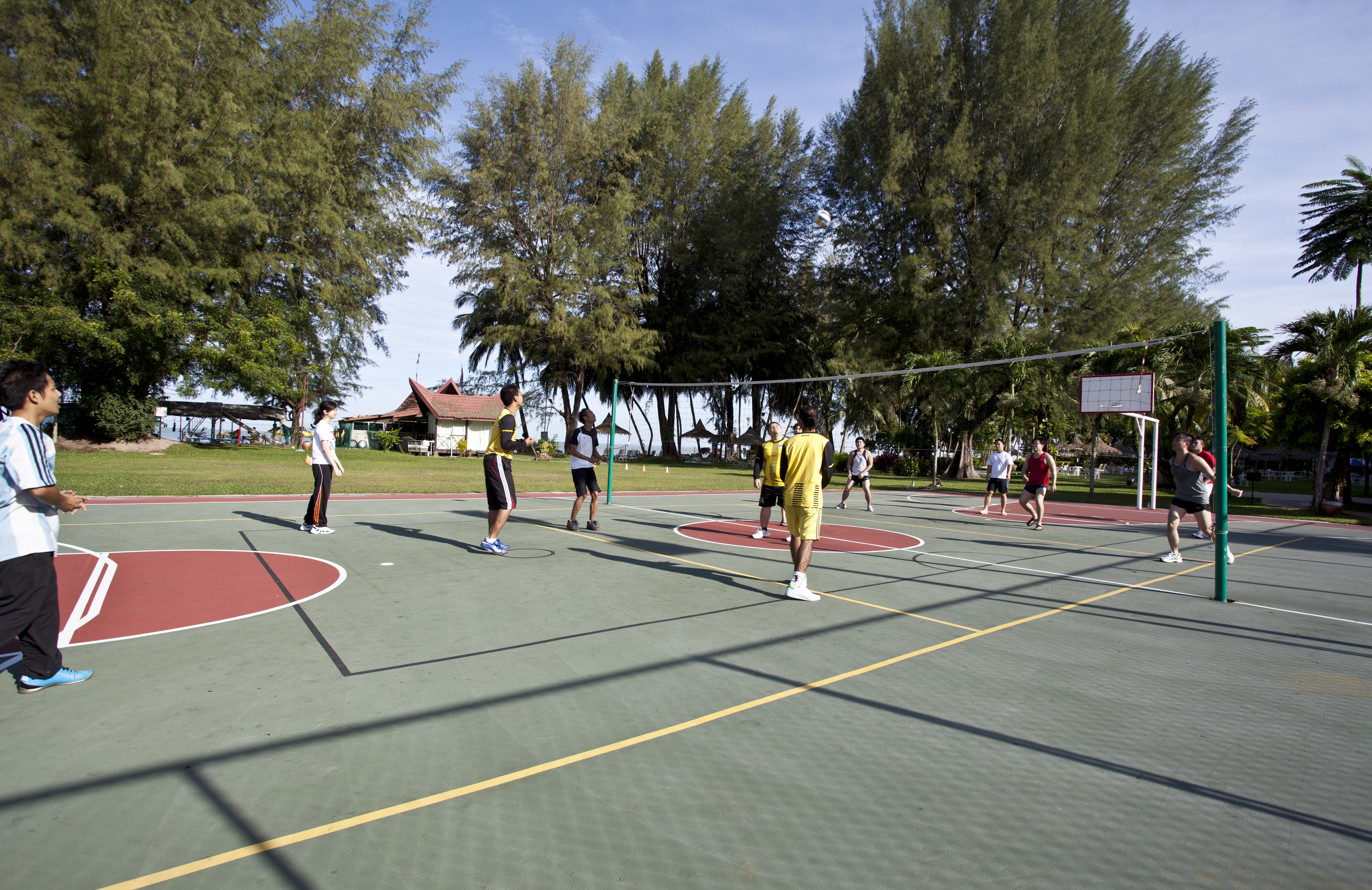 Sports and Entertainment