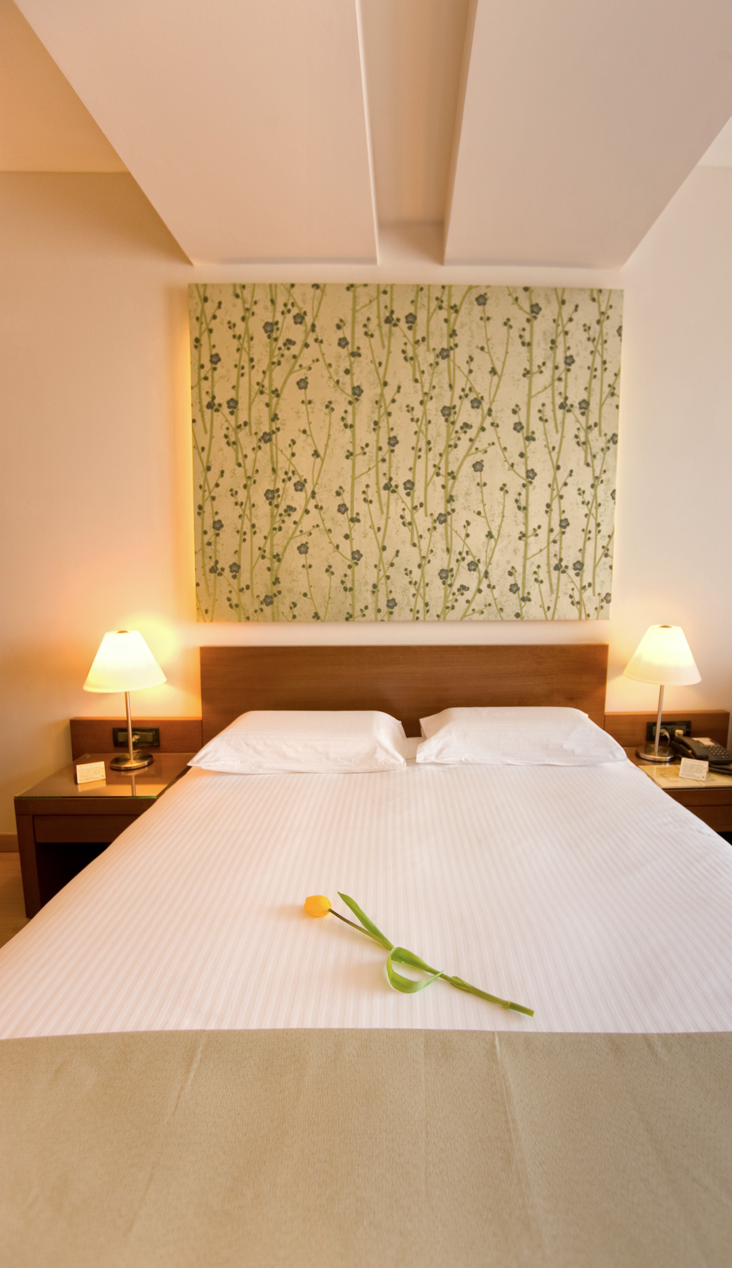 Double Mountain View