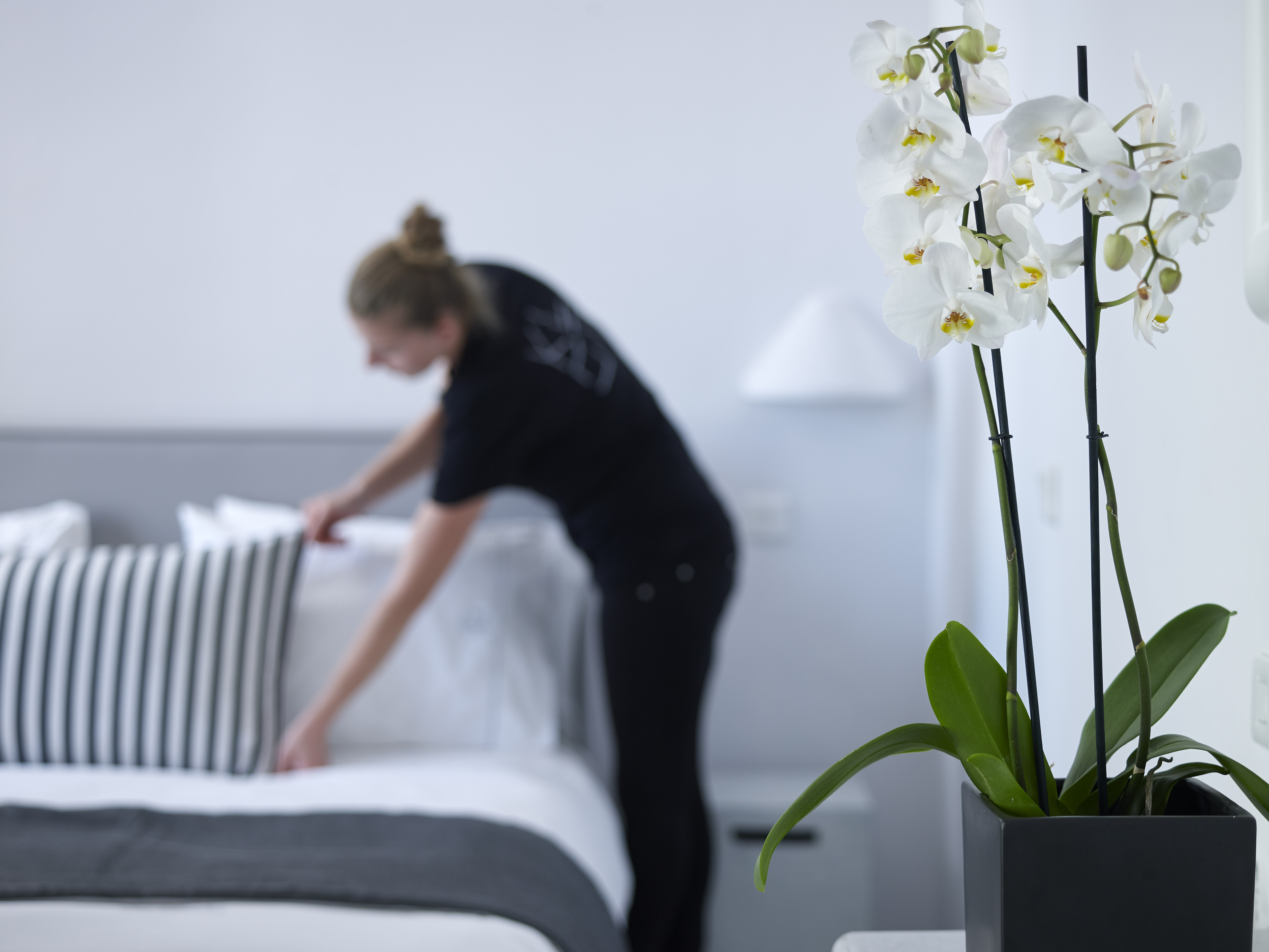 Family Room Garden View