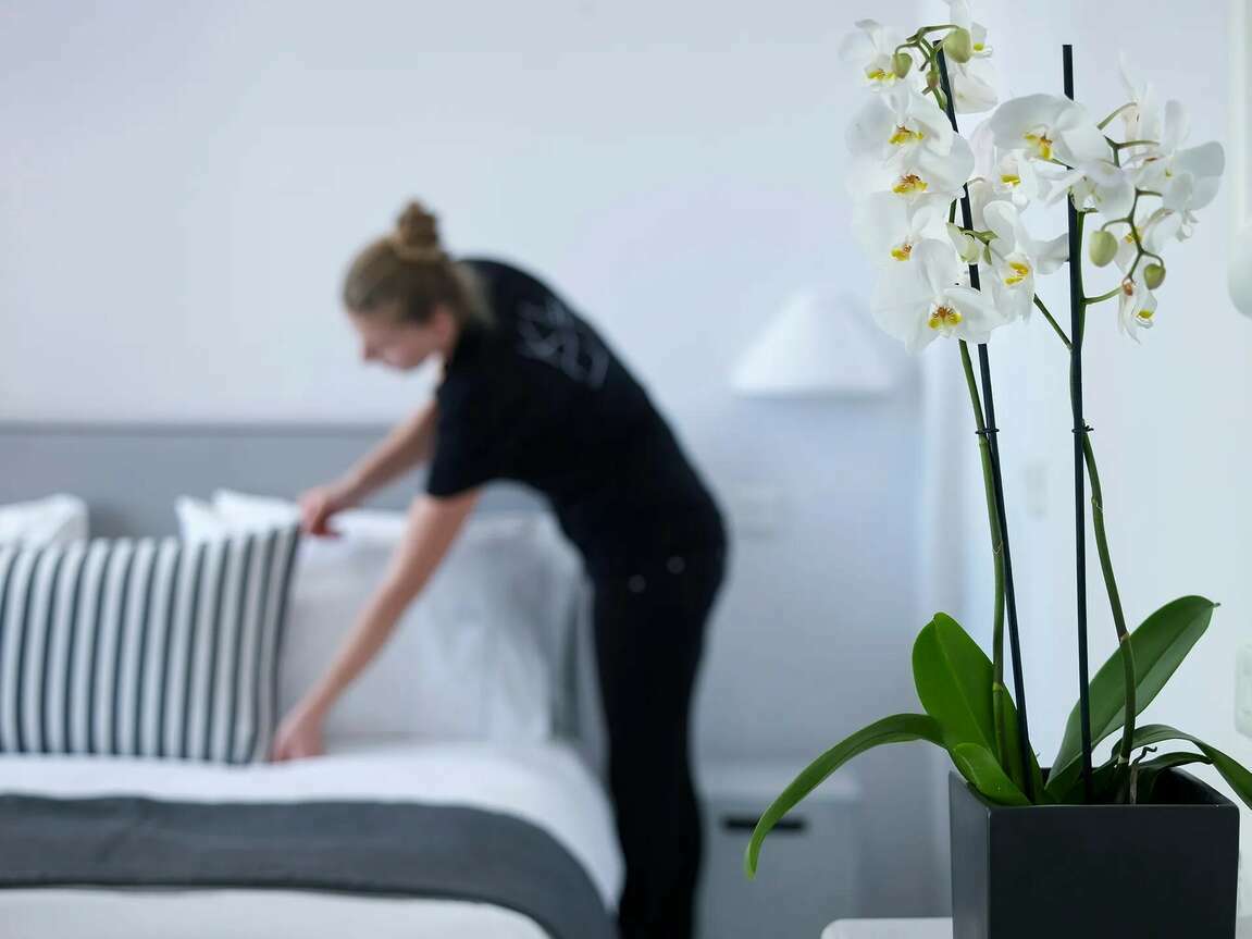 Suite Executive Garden View