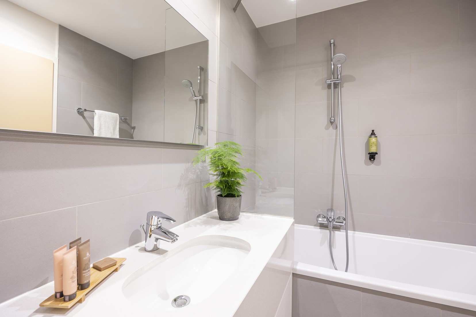 Apartment One Bedroom