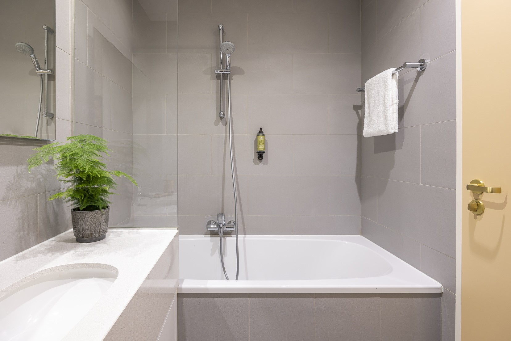 Apartment One Bedroom