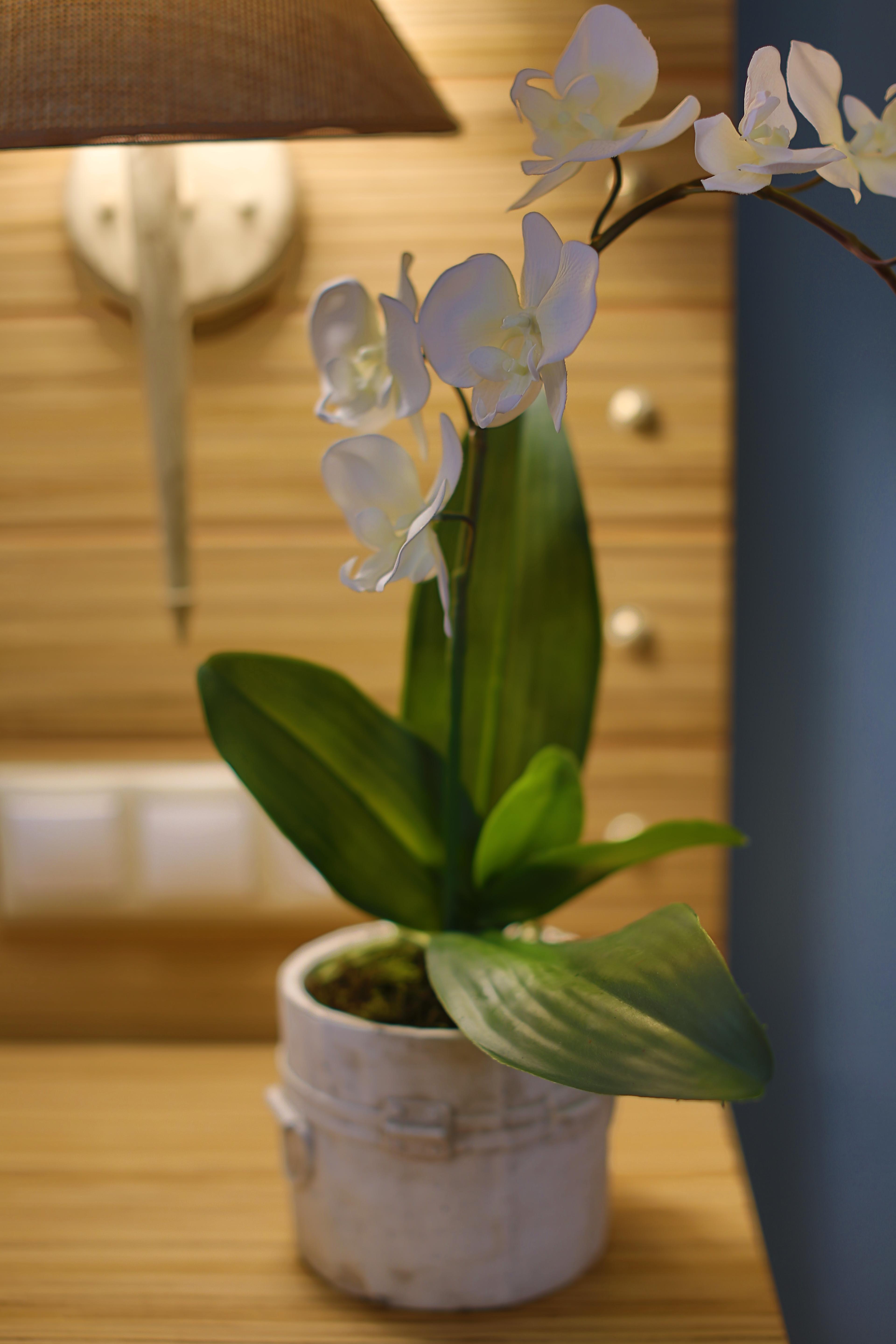 Double or Twin with Views