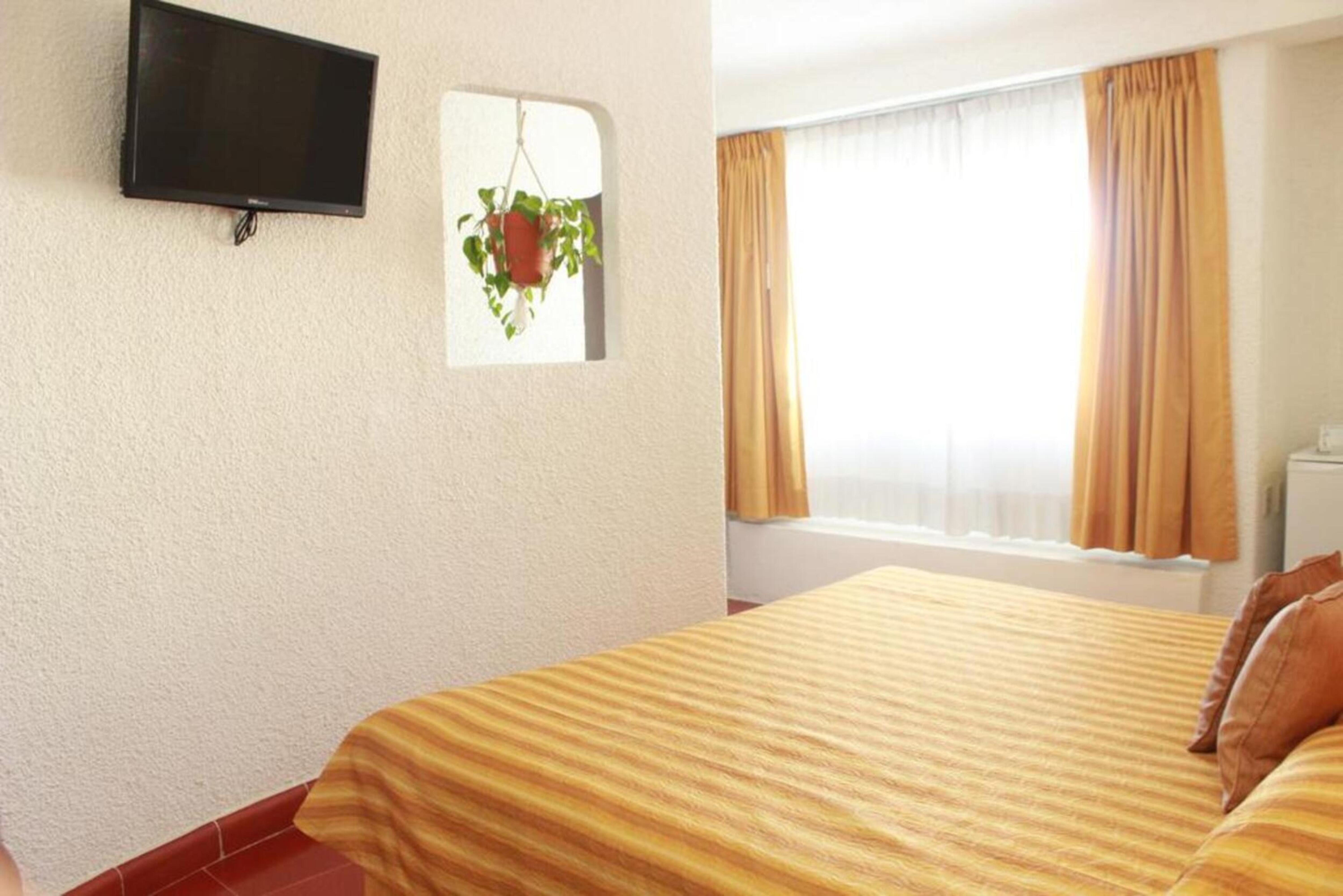 Junior Suite One Bed