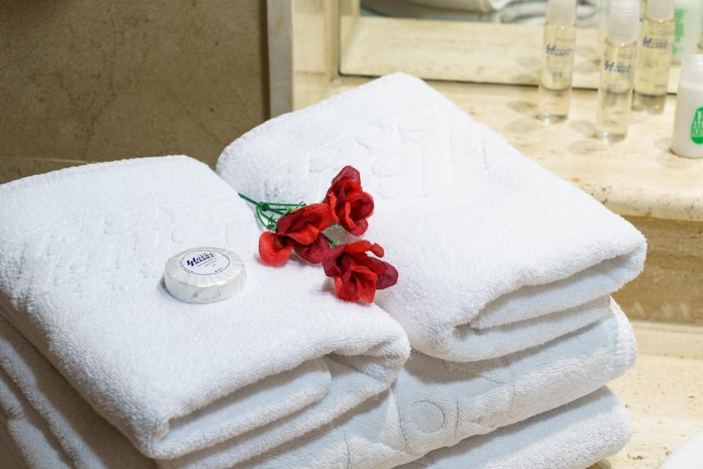 Double or Twin Superior