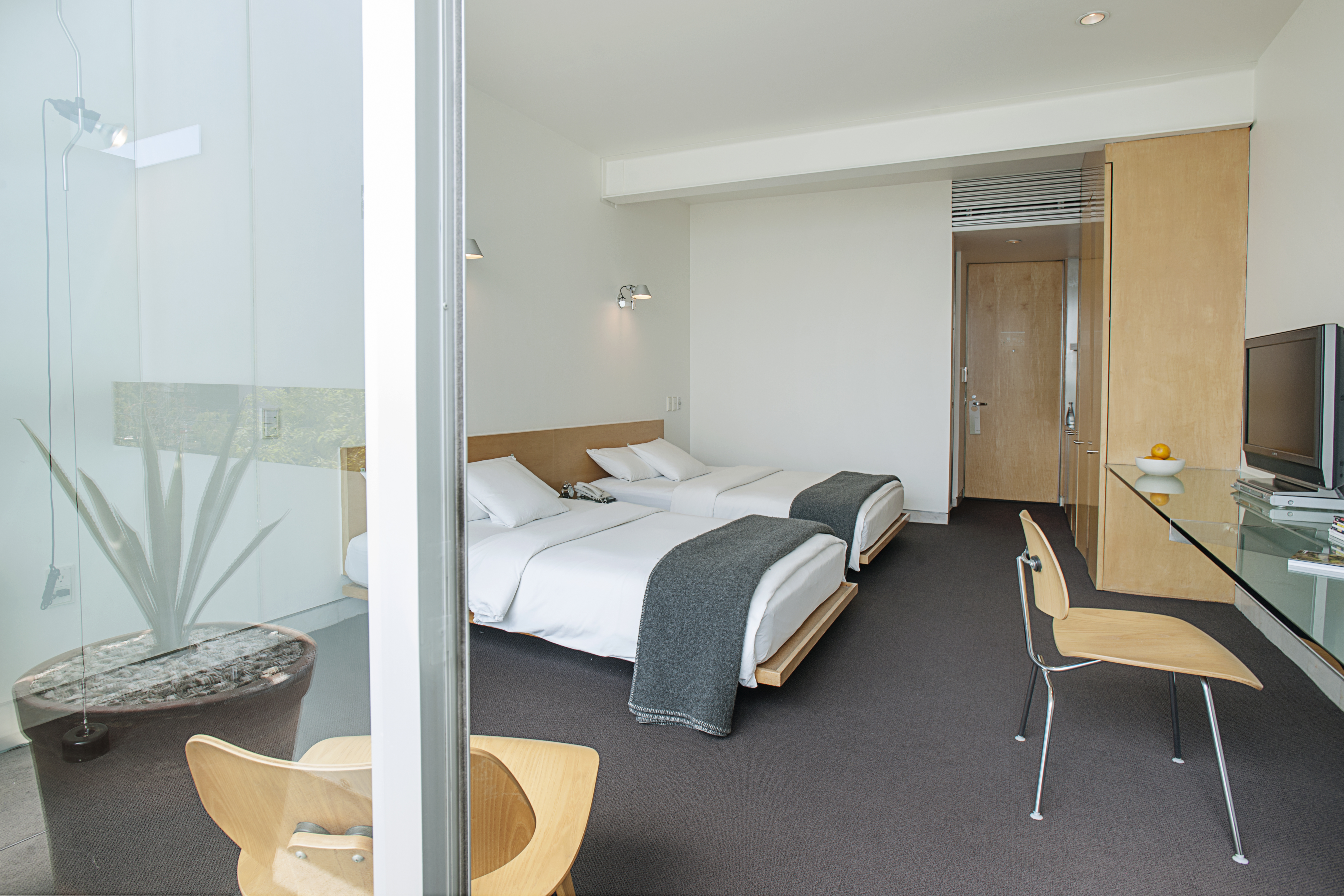 Double Deluxe Two Beds