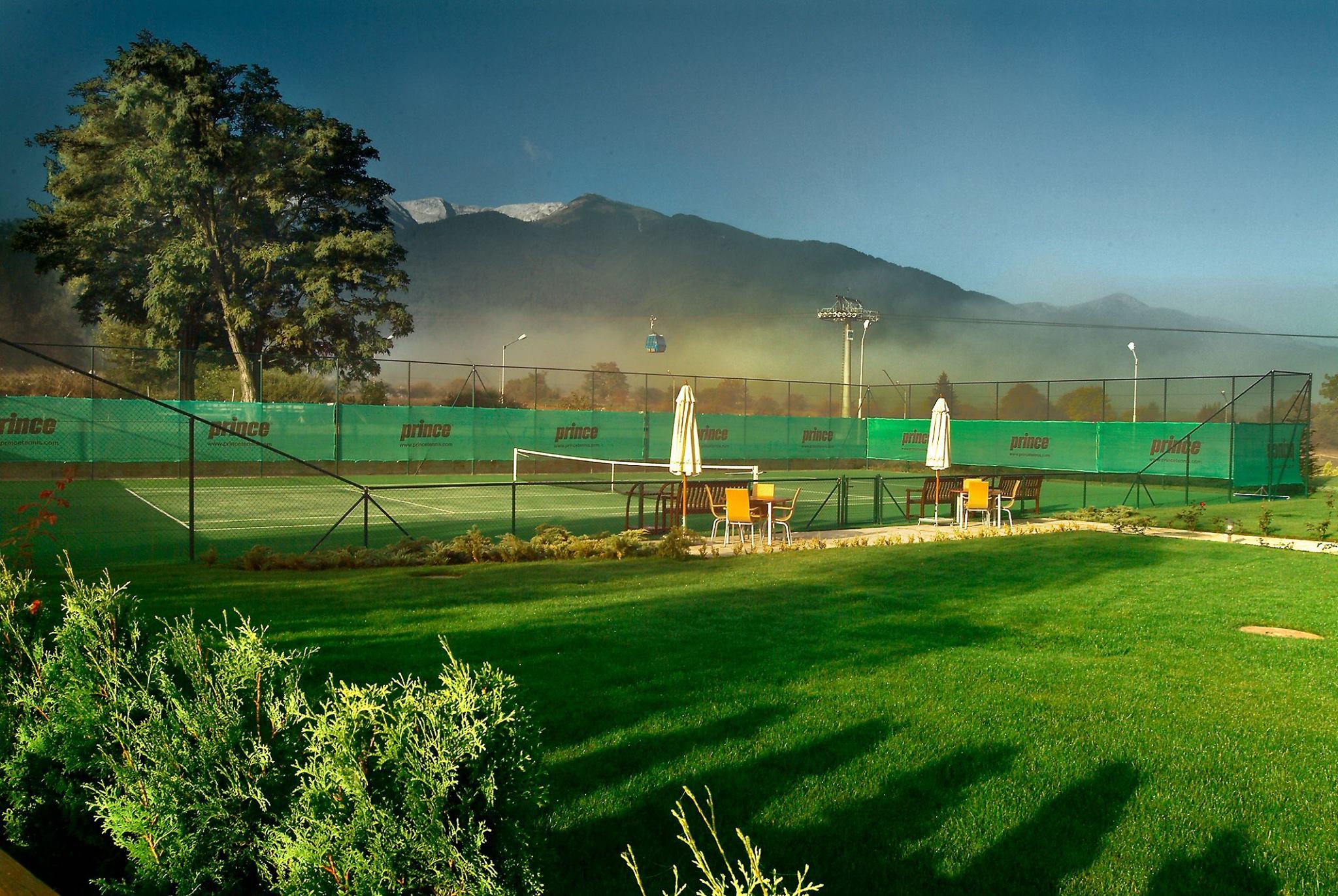 Sports and Entertainment