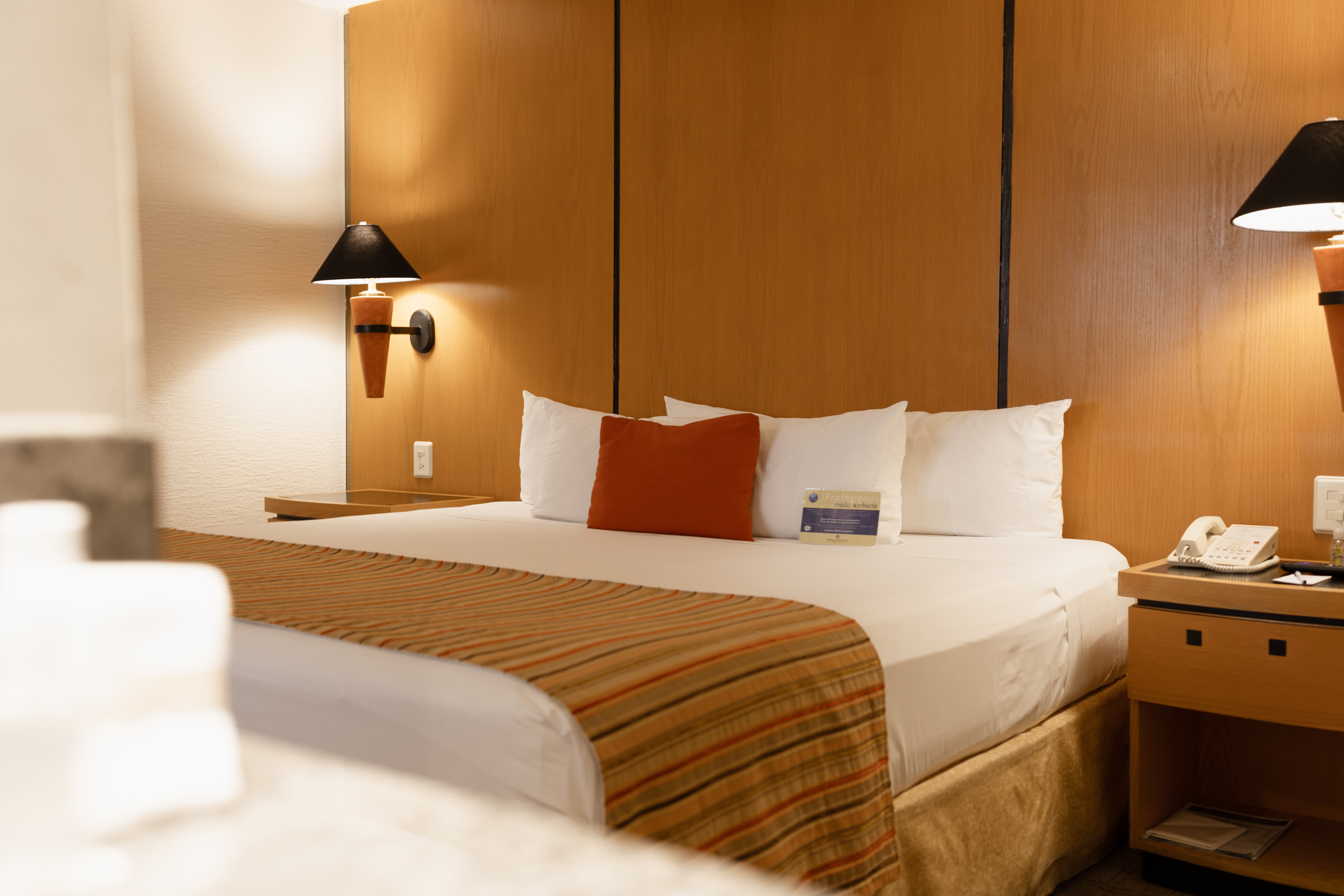 Double Executive King Bed