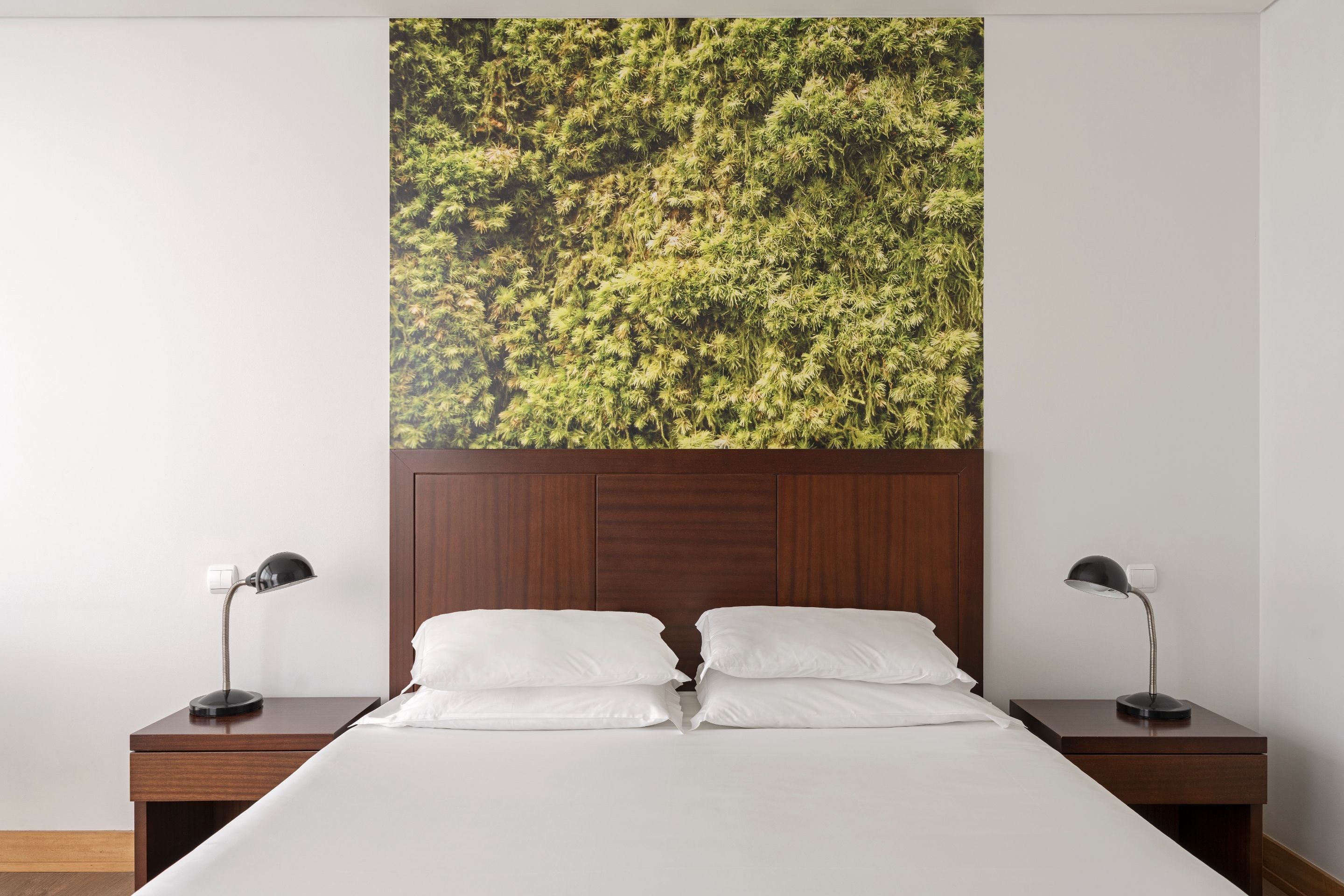 Double or Twin Superior