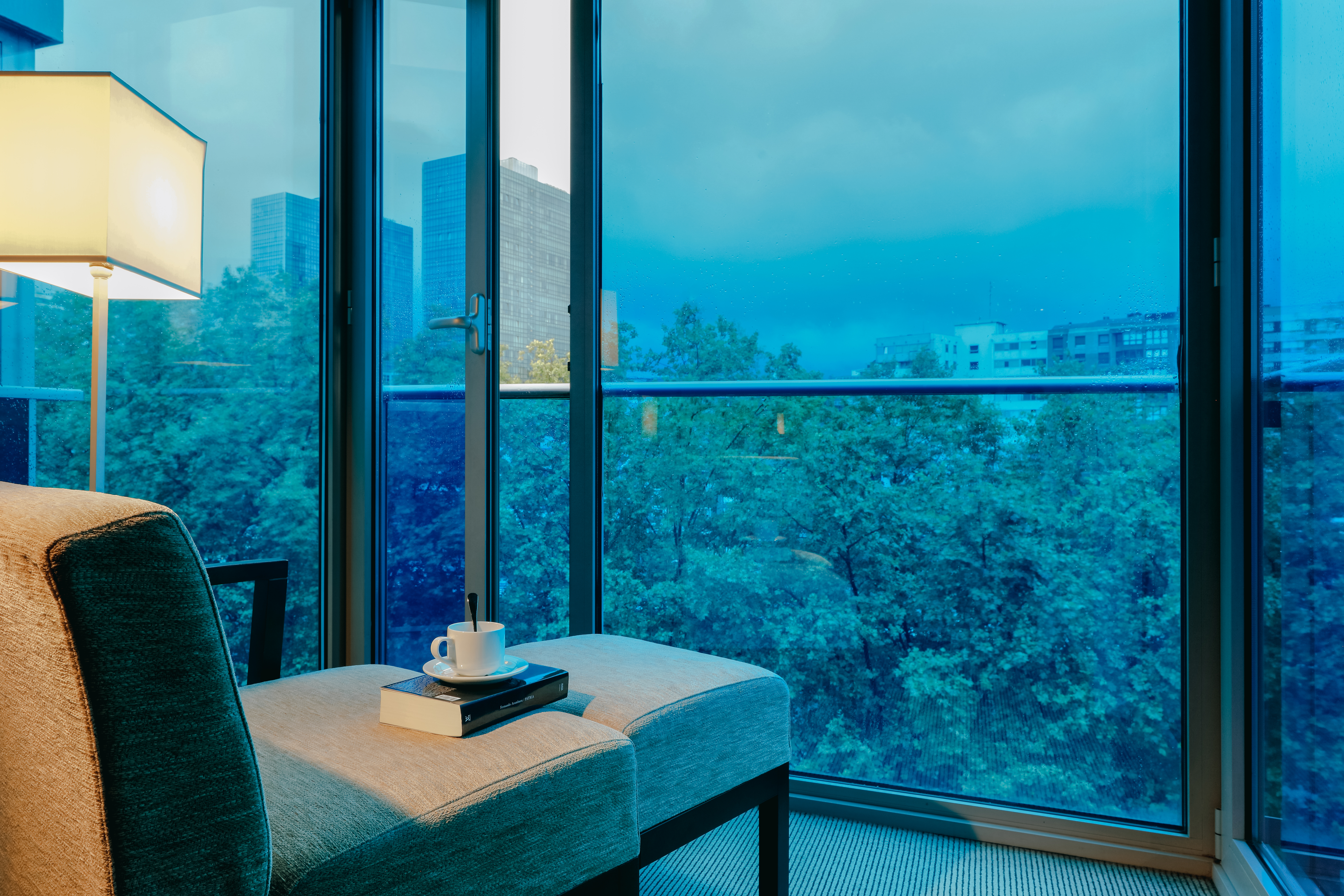 Junior Suite with Views