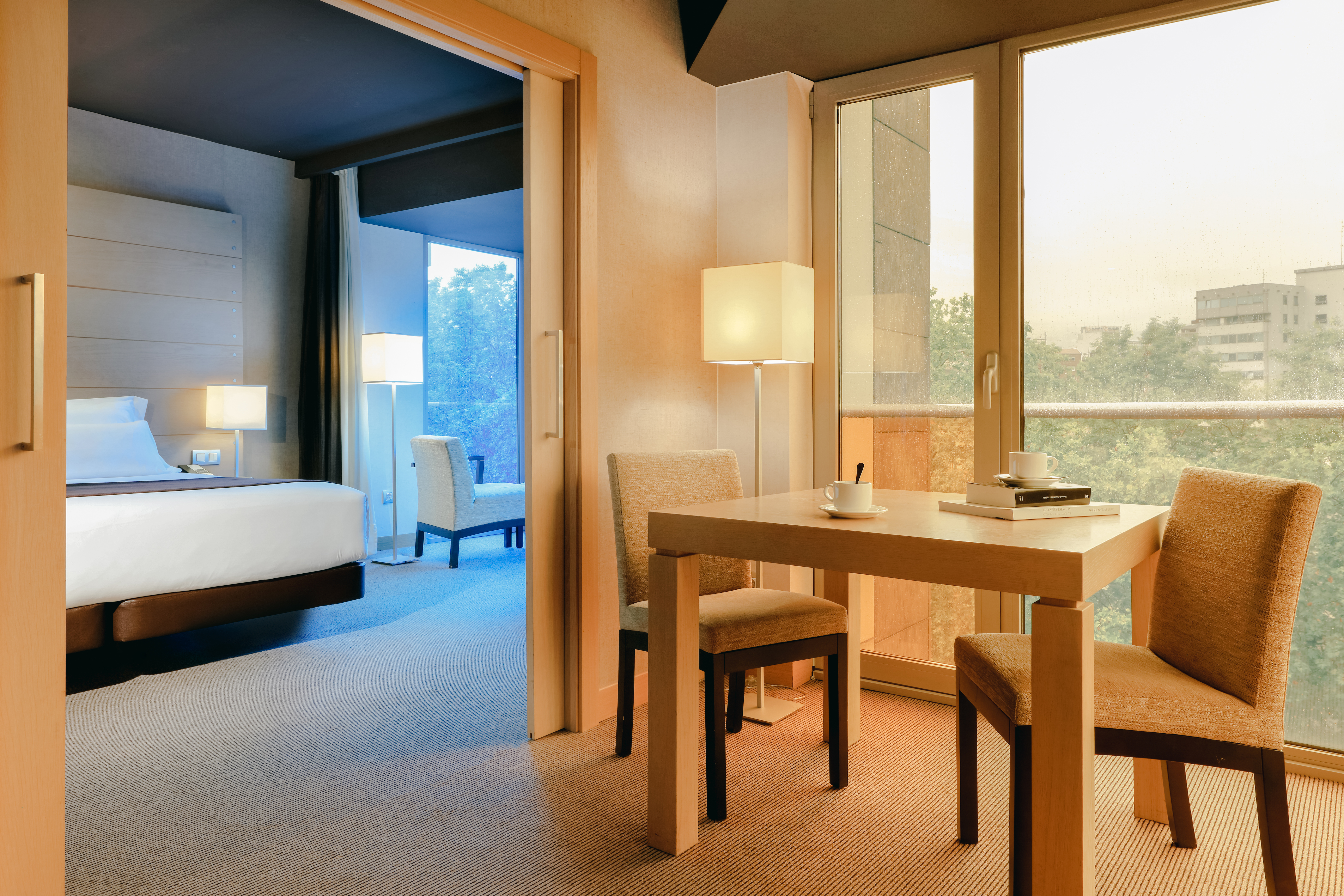 Junior Suite with Views