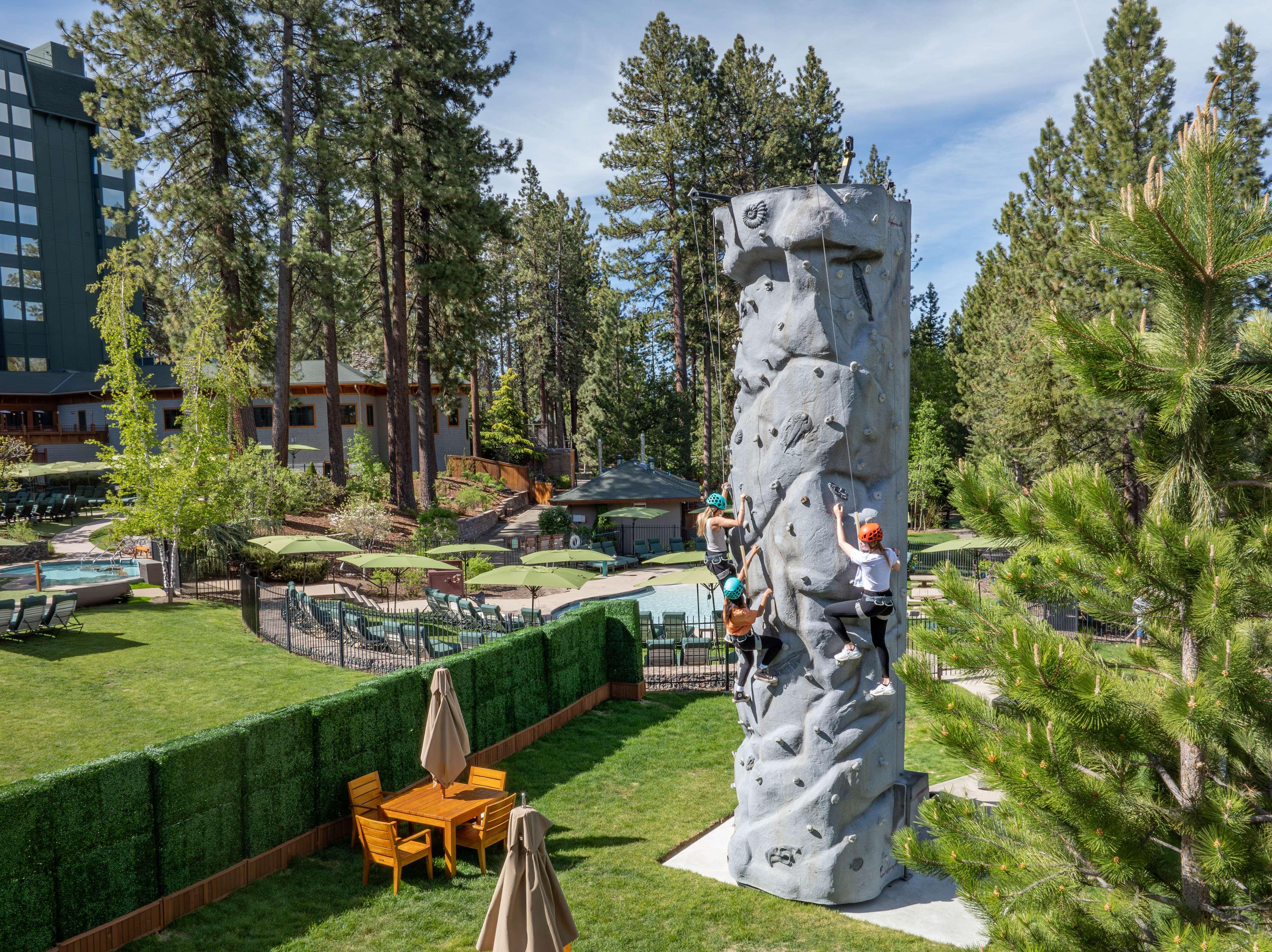 Sports and Entertainment