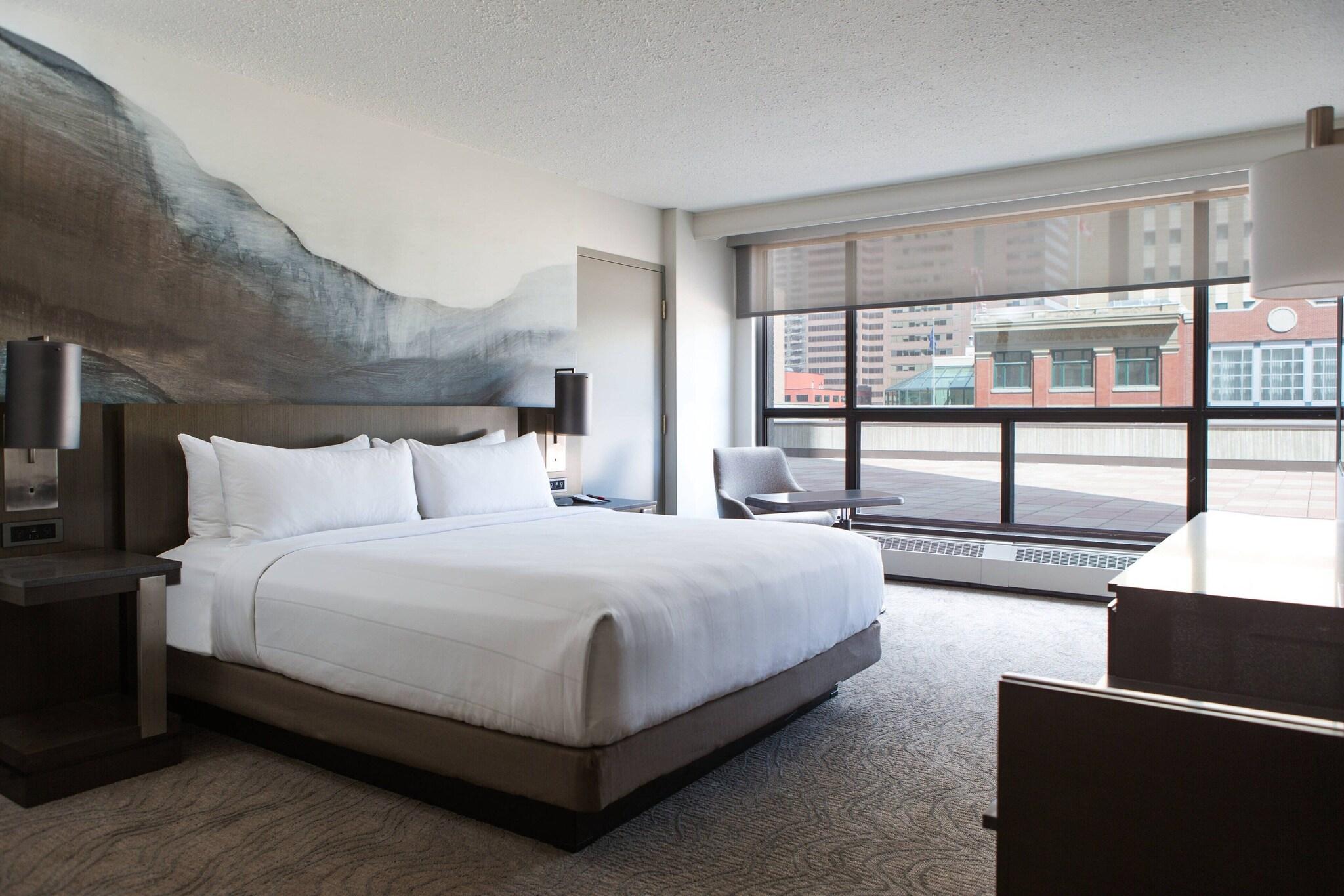 Suite King Bed One Bedroom 