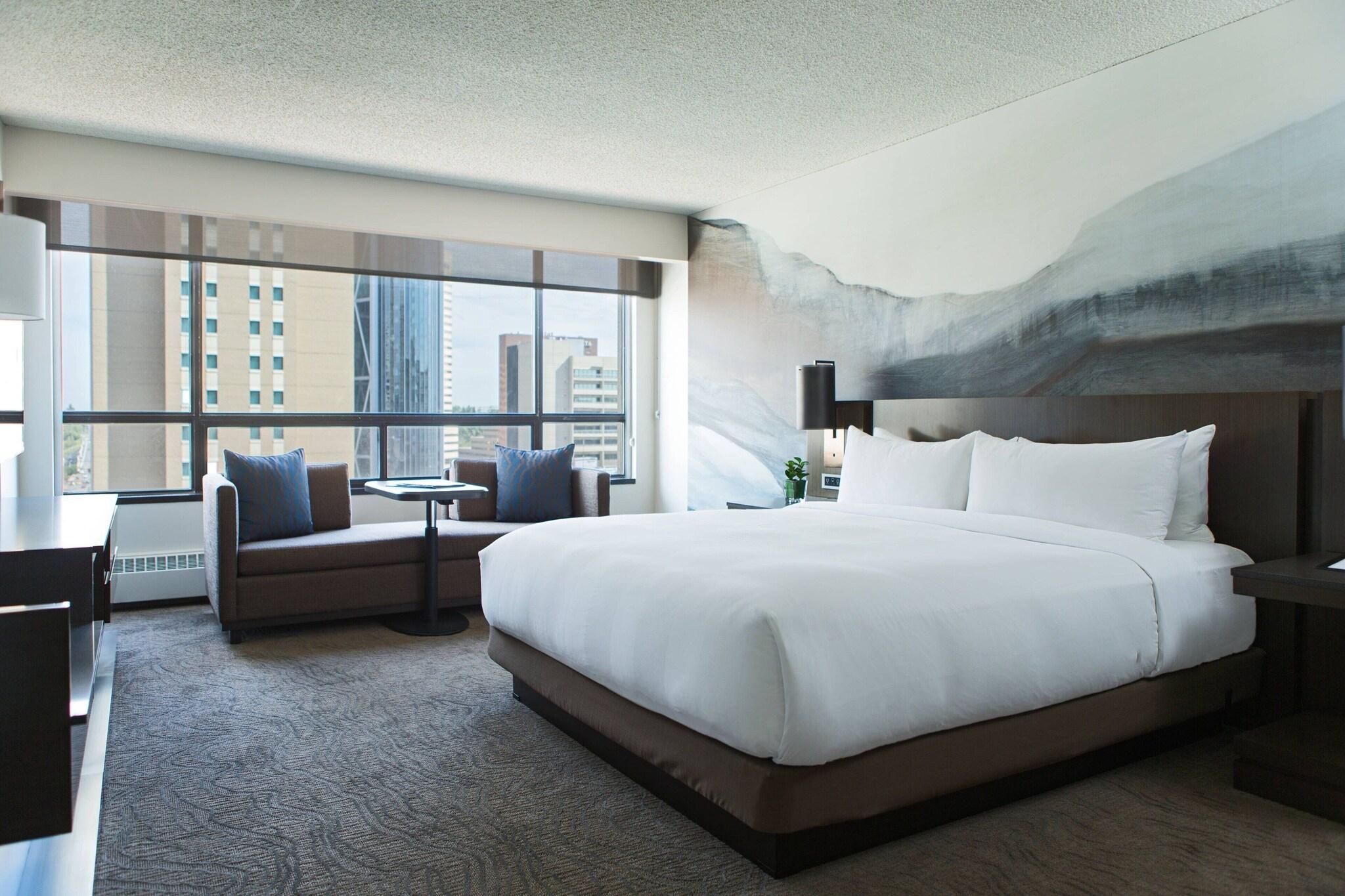 Suite King Bed One Bedroom 