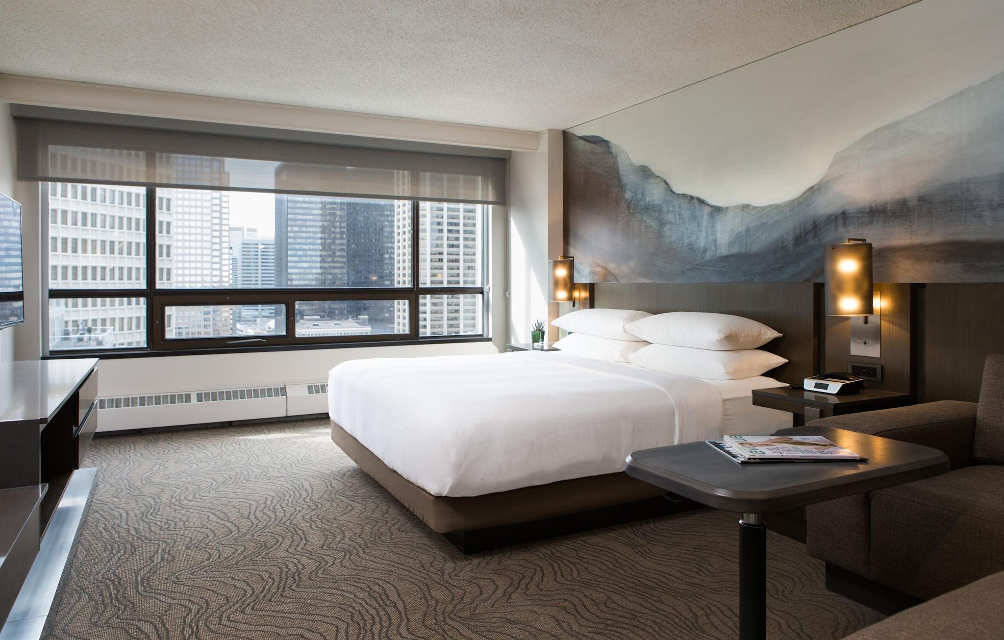 Suite King Bed One Bedroom 
