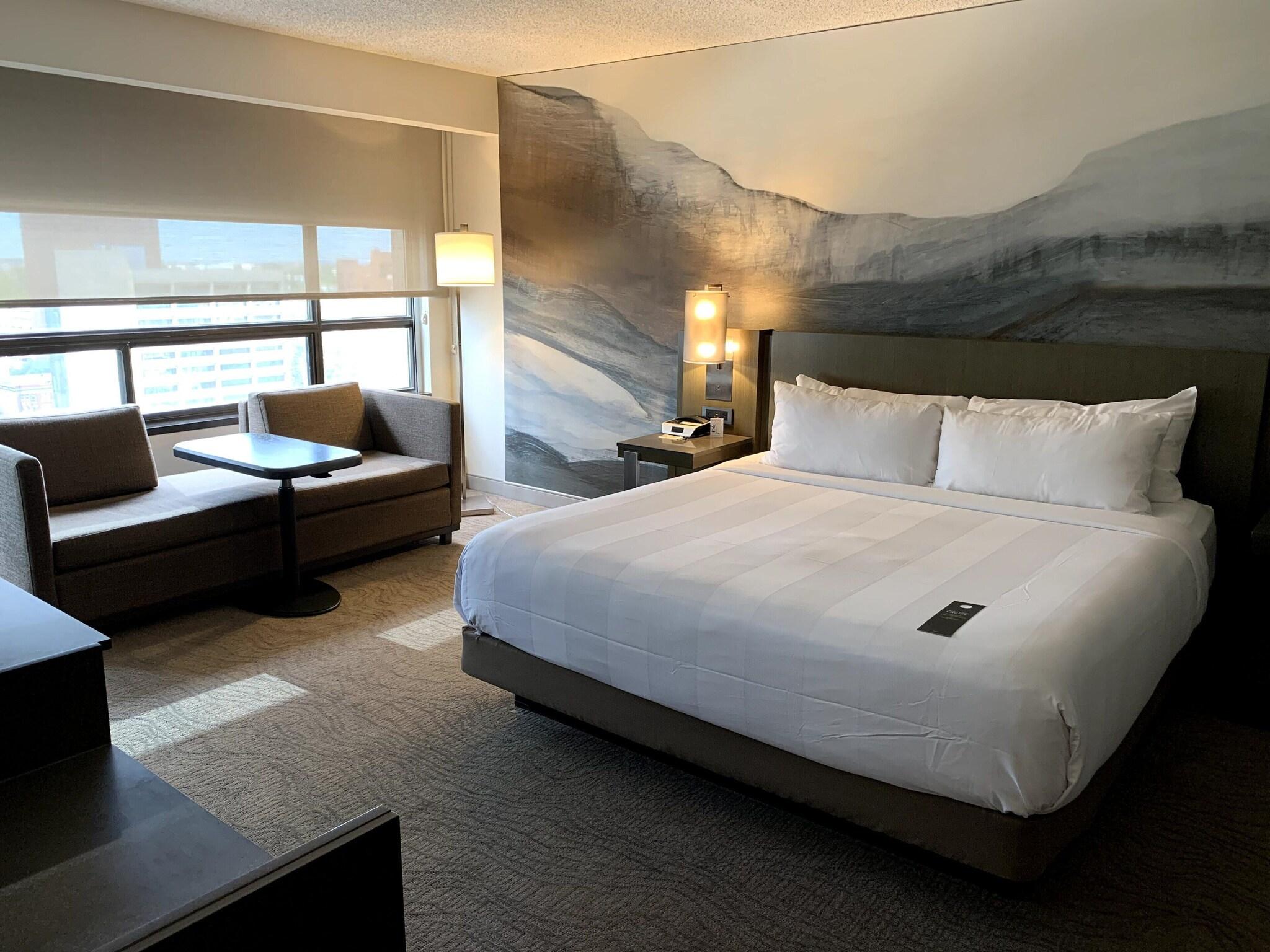 Suite King Bed One Bedroom 