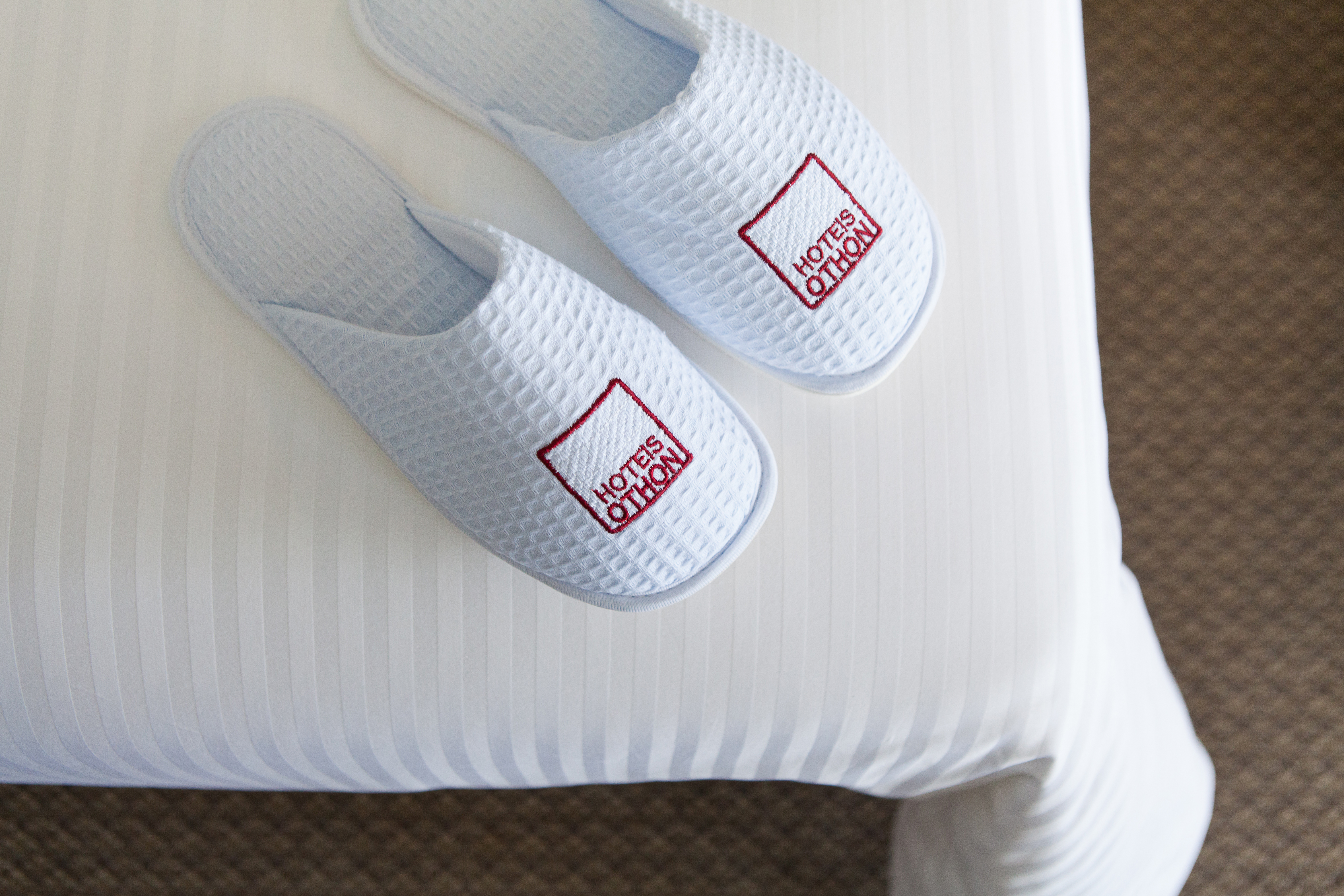 Family Room Deluxe Ocean Front