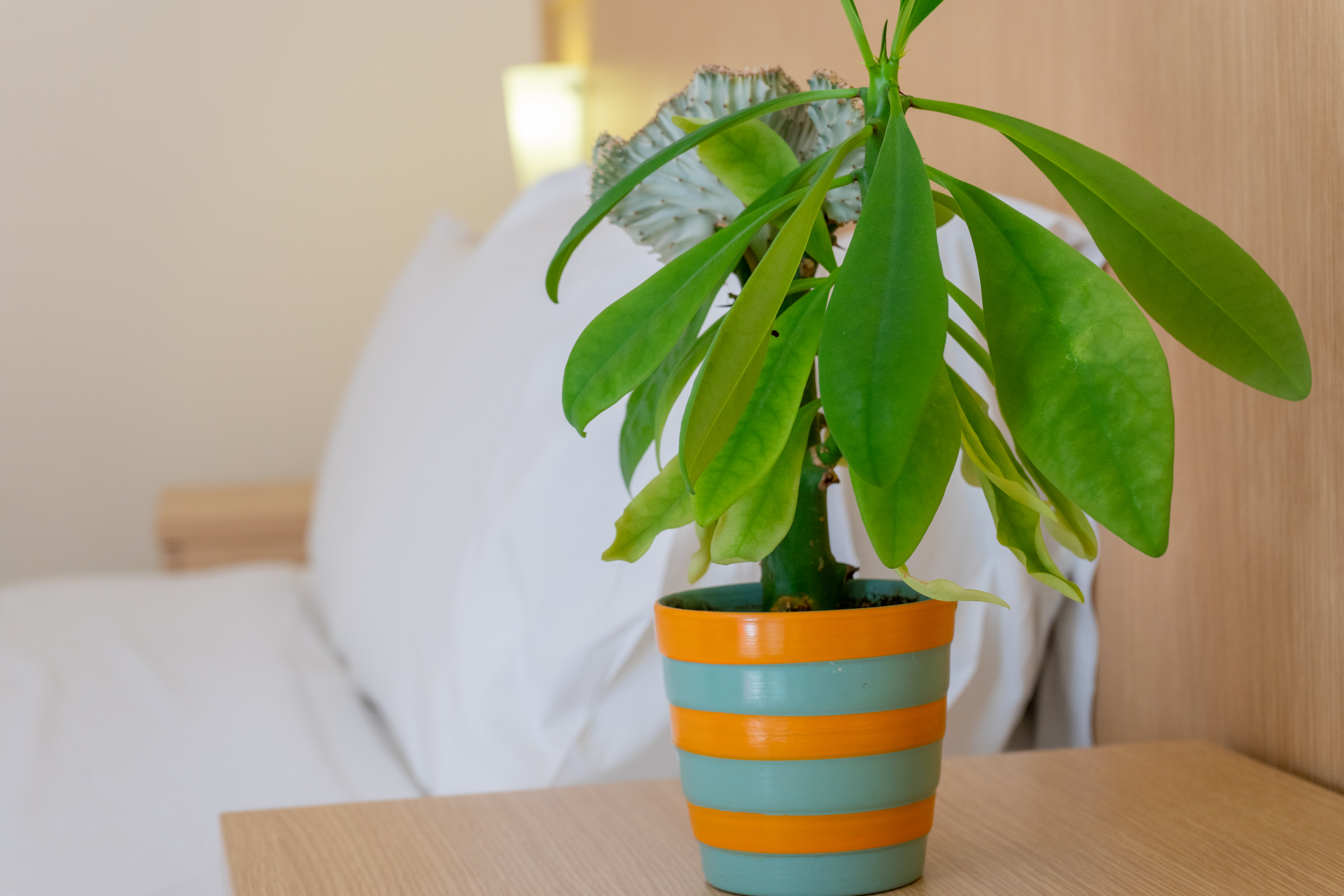 Double Single Standard