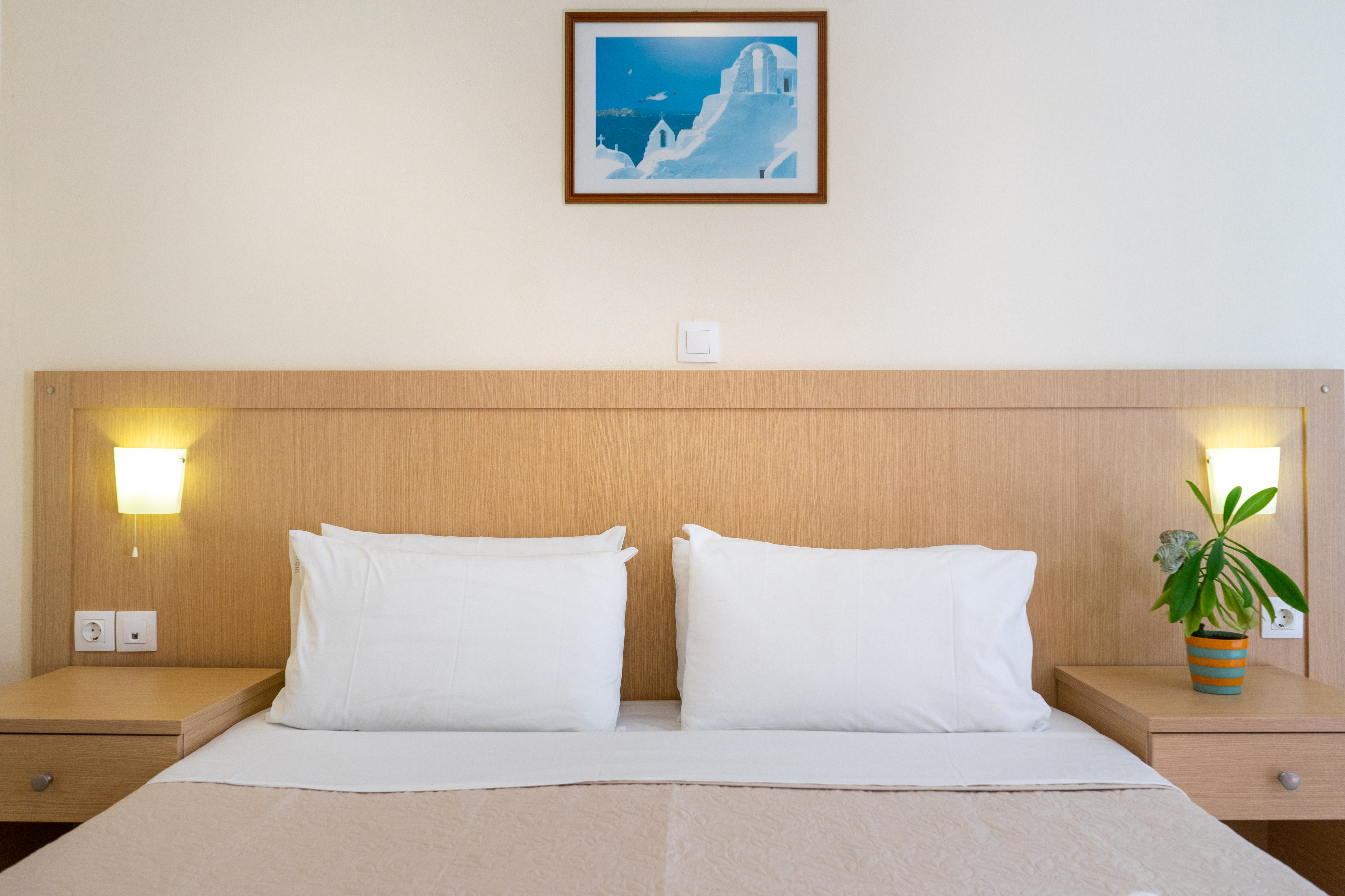 Double or Twin Standard