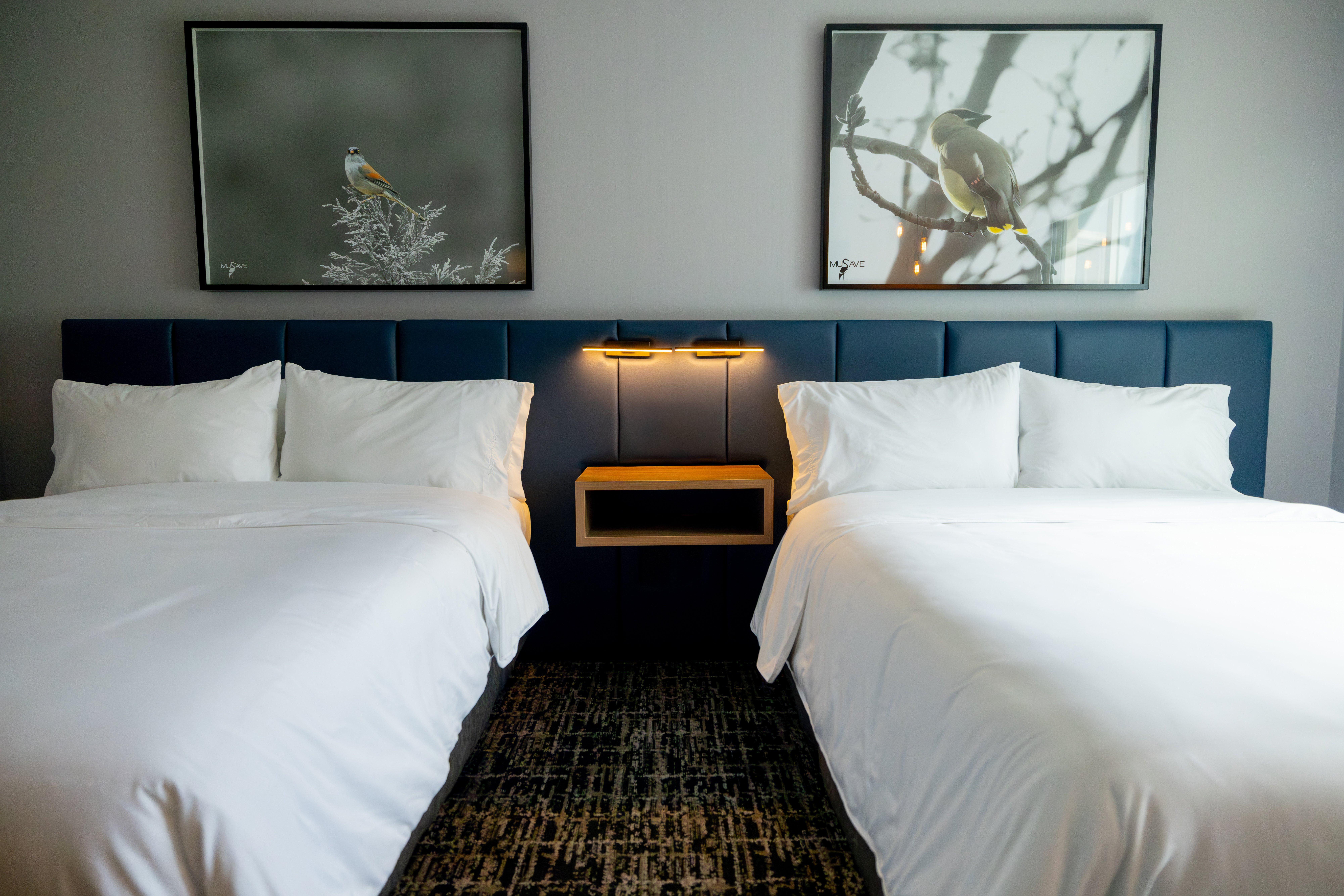 Suite Two Double Beds One Bedroom 