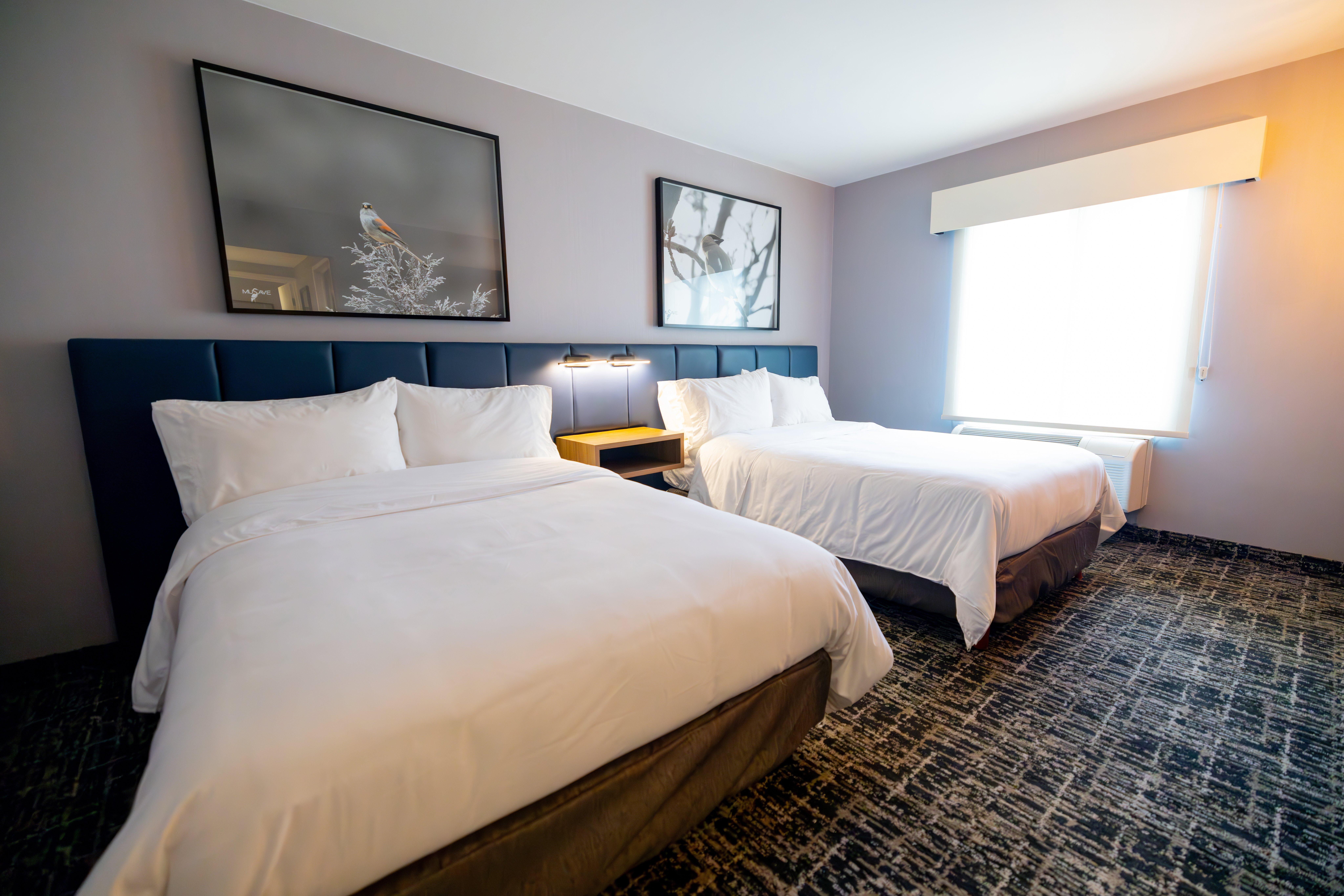 Suite Two Double Beds