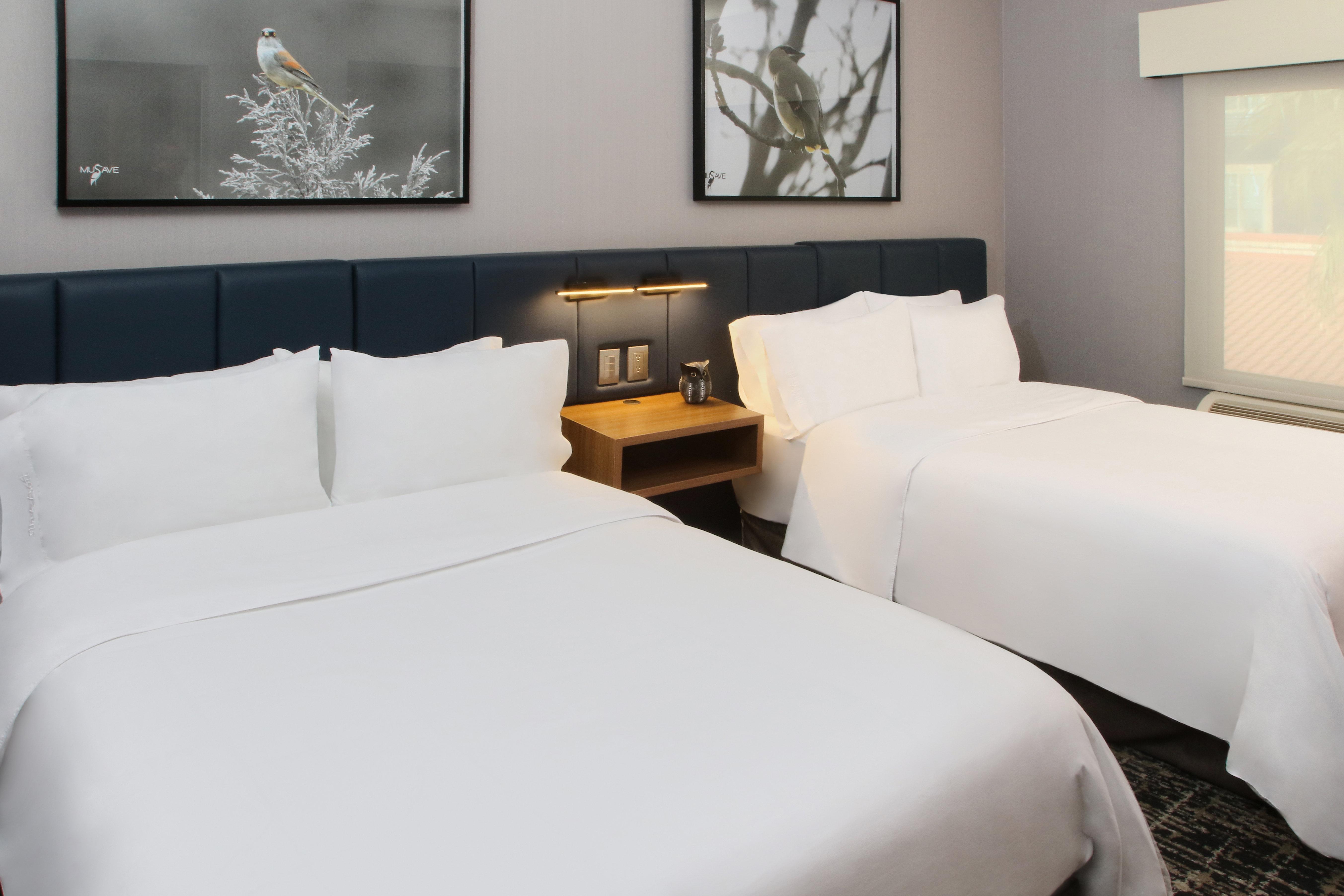 Suite Two Double Beds