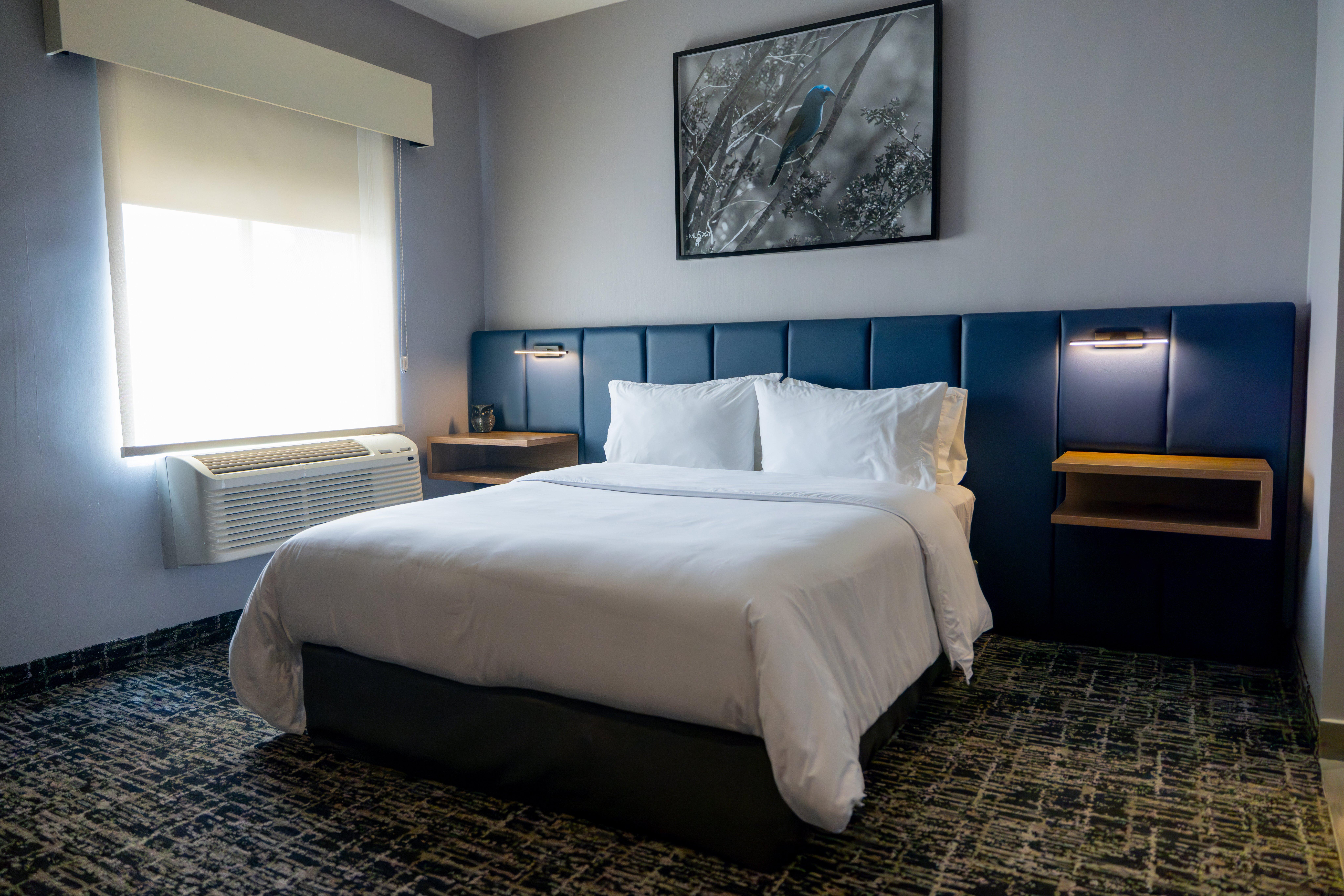 Suite Queen Size Bed