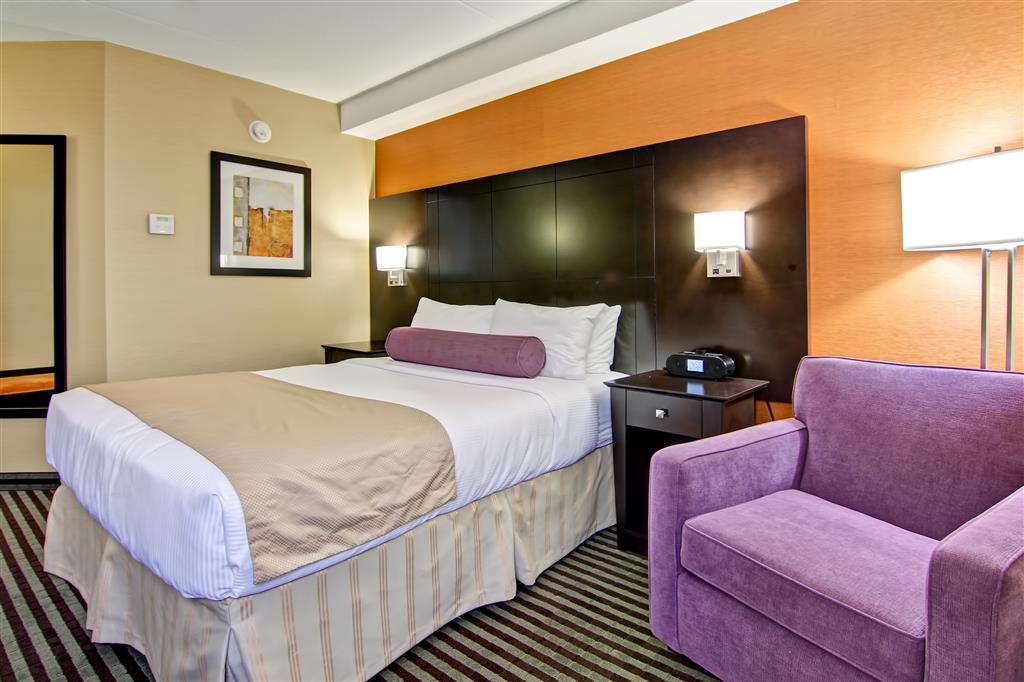 Double Queen Size Bed